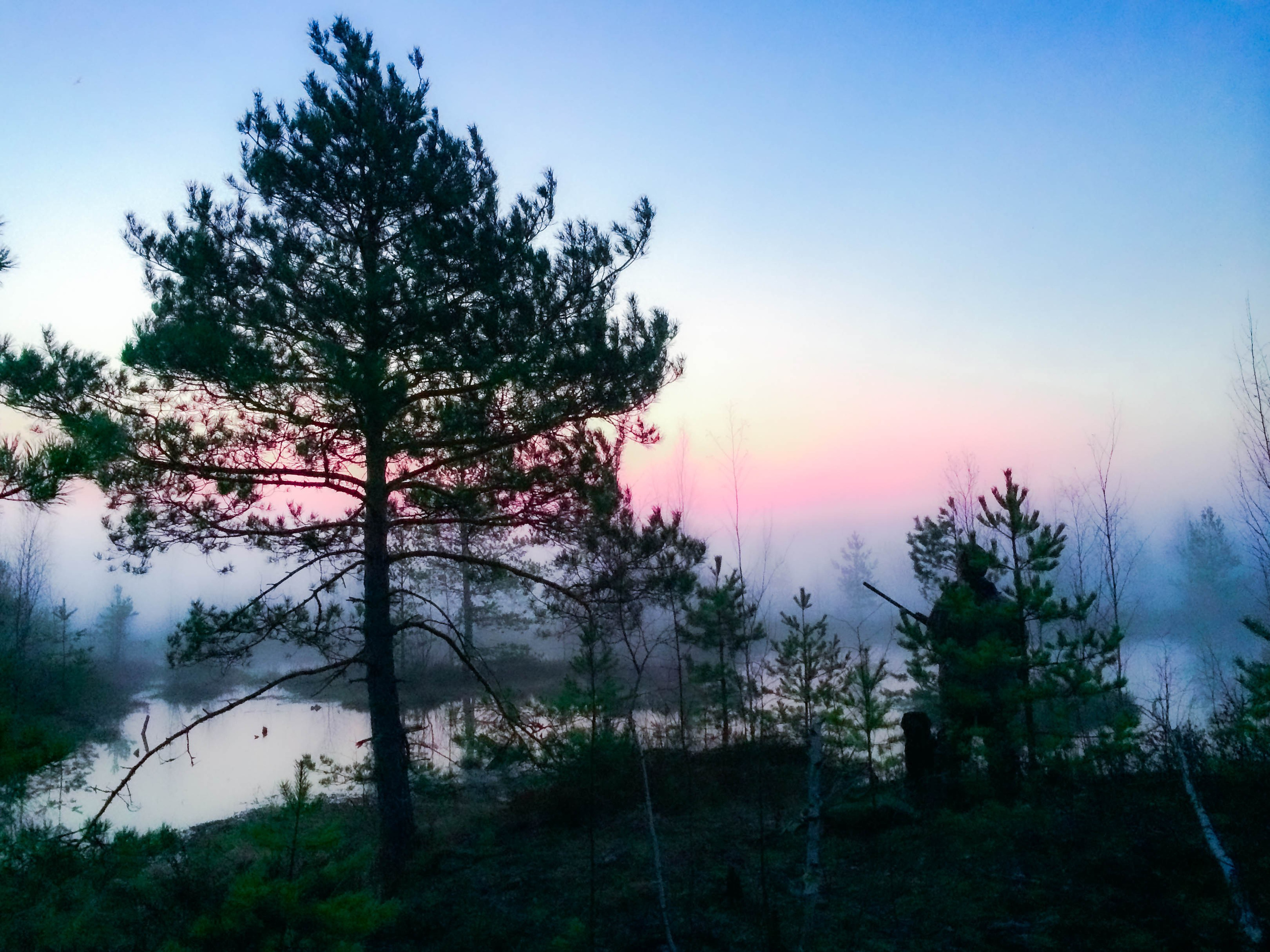 ПЛАНЕТА ЗЕМЛЯ (пейзаж). АЛЕКСЕЙ КОЛМАКОВ. Фотограф. Москва и Московская область