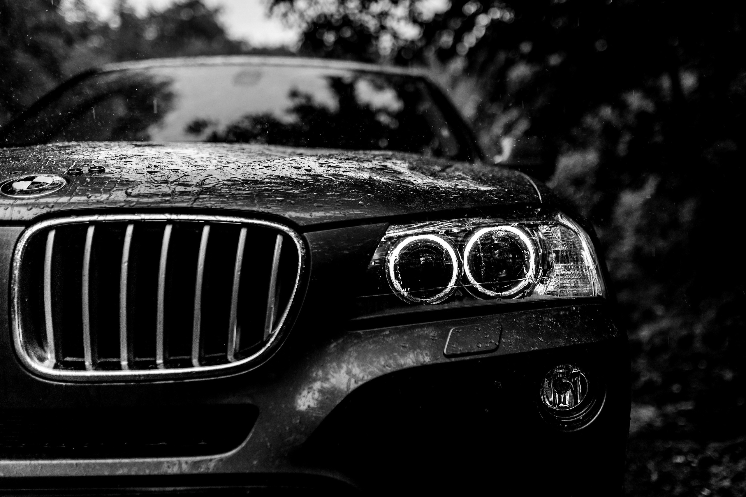 Фотограф Евгений Бурьянов