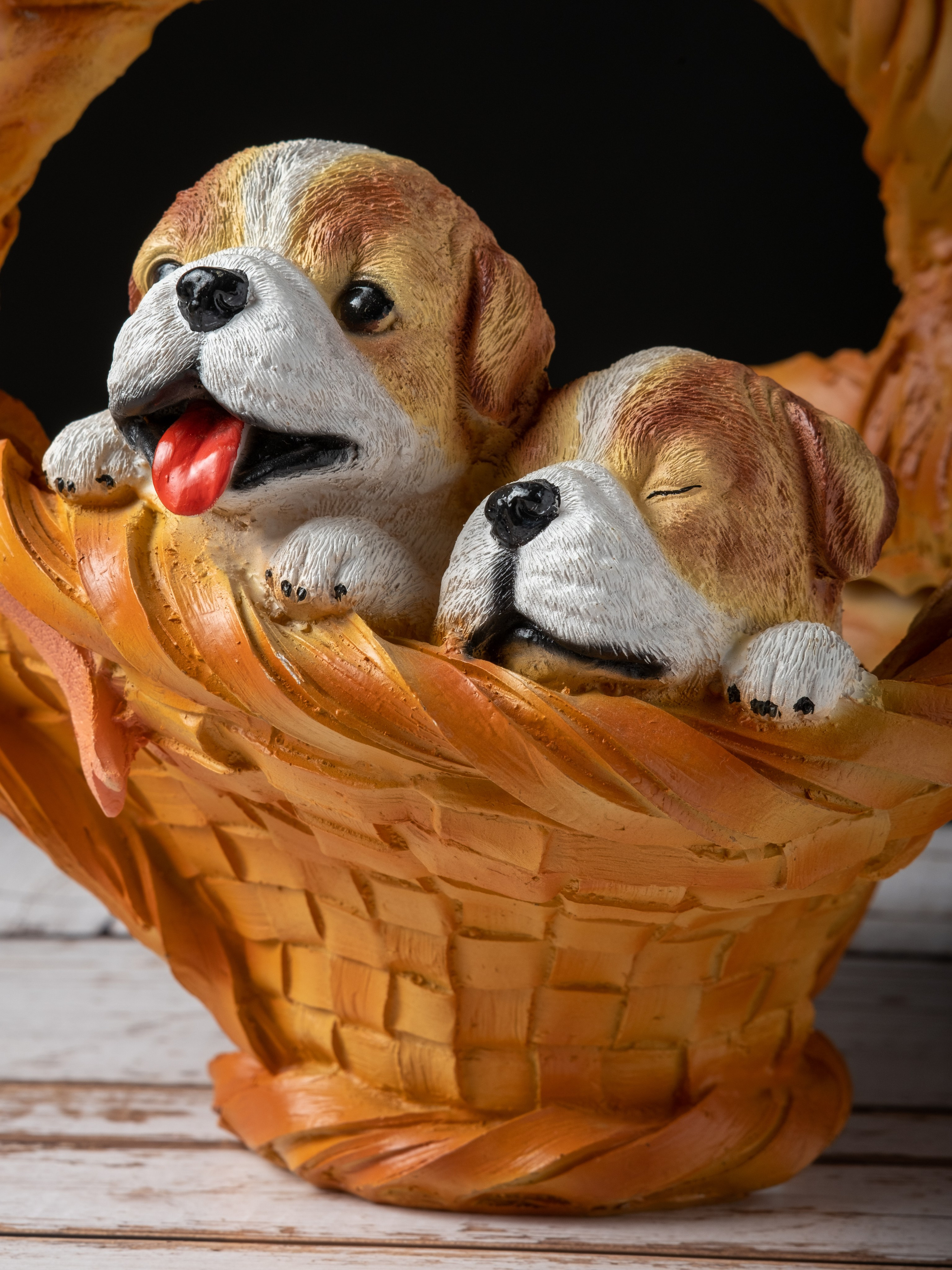 Предметная и каталожная съемка портфолио (фото)