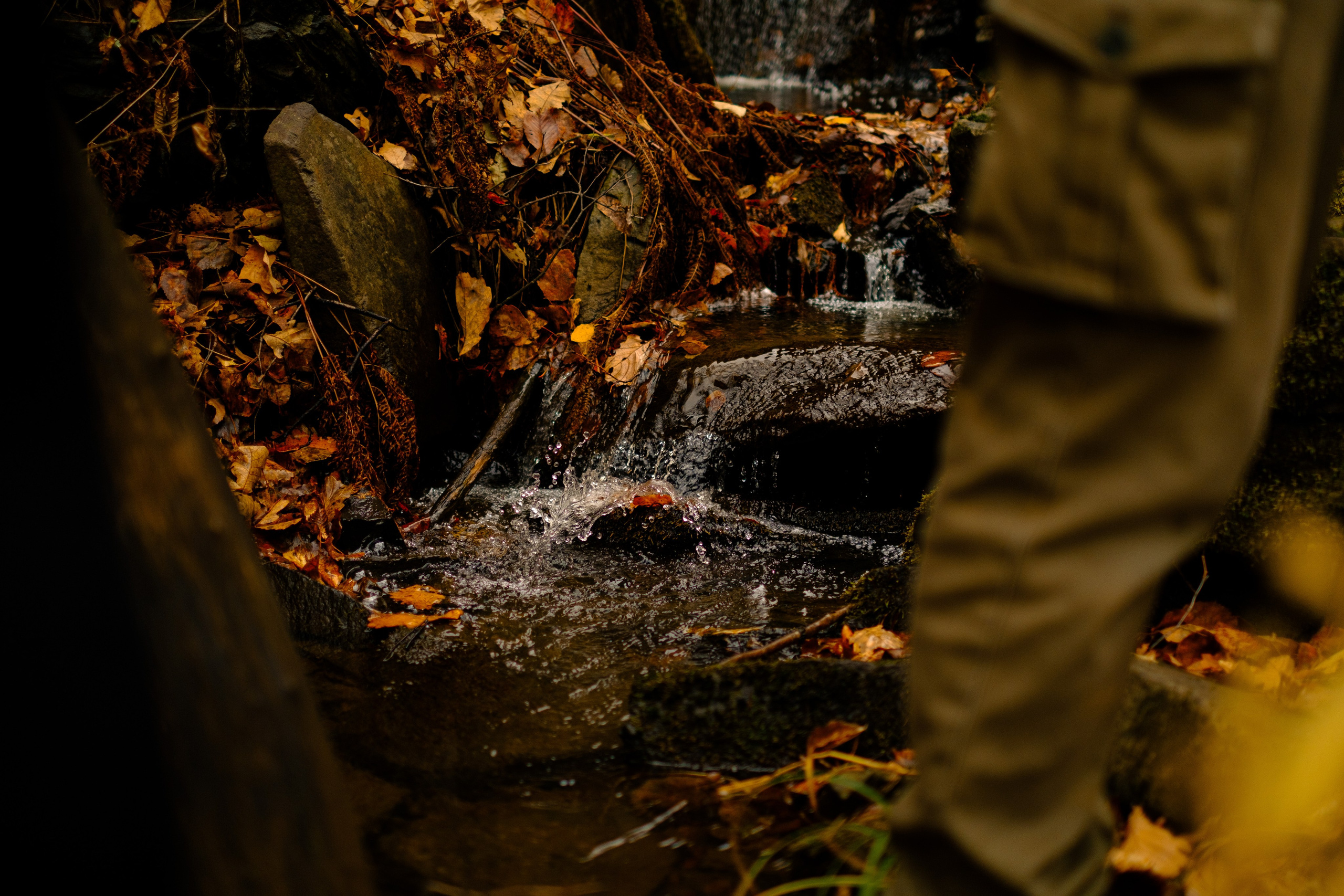 Михайловские столбы осенью. Фотограф Благовещенска Яна