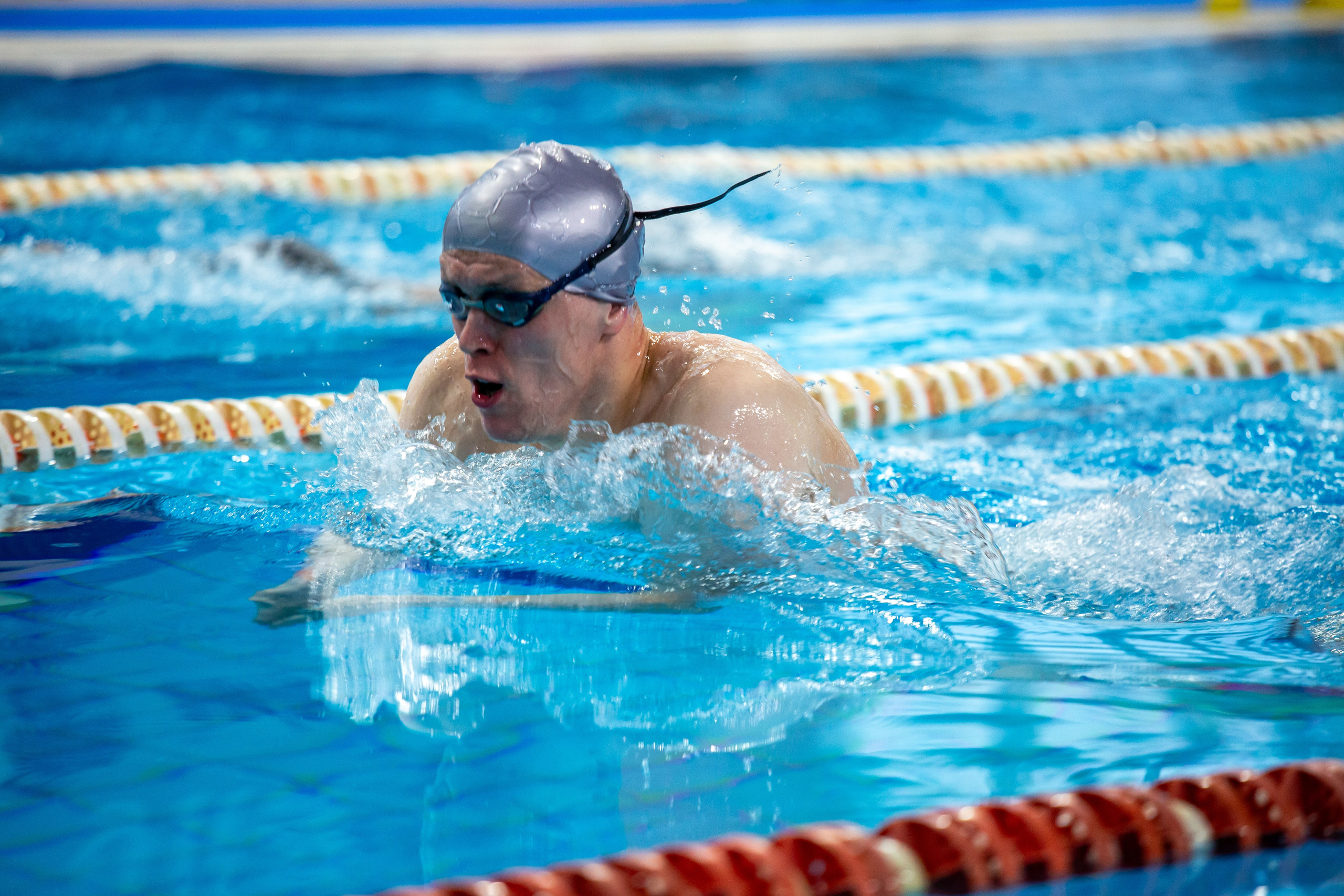 Турнир по плаванию. Репортажный, семейный, свадебный, портретный фотограф