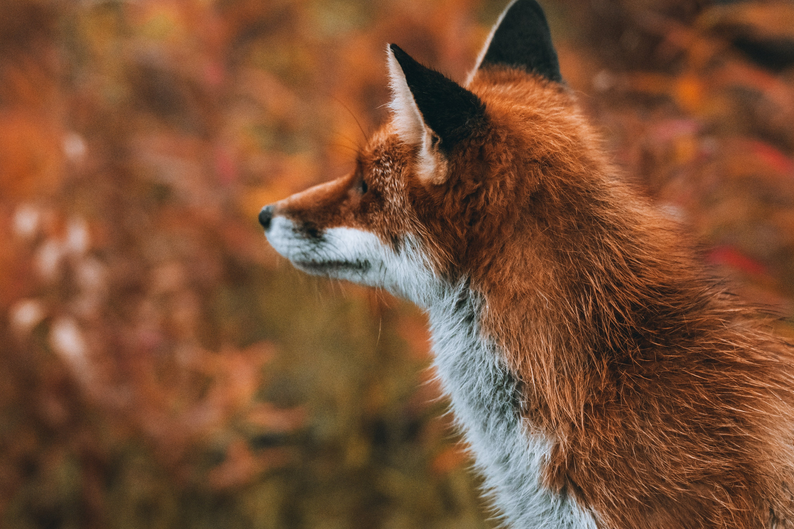 СЕВЕР. Event фотограф Степанова Александра