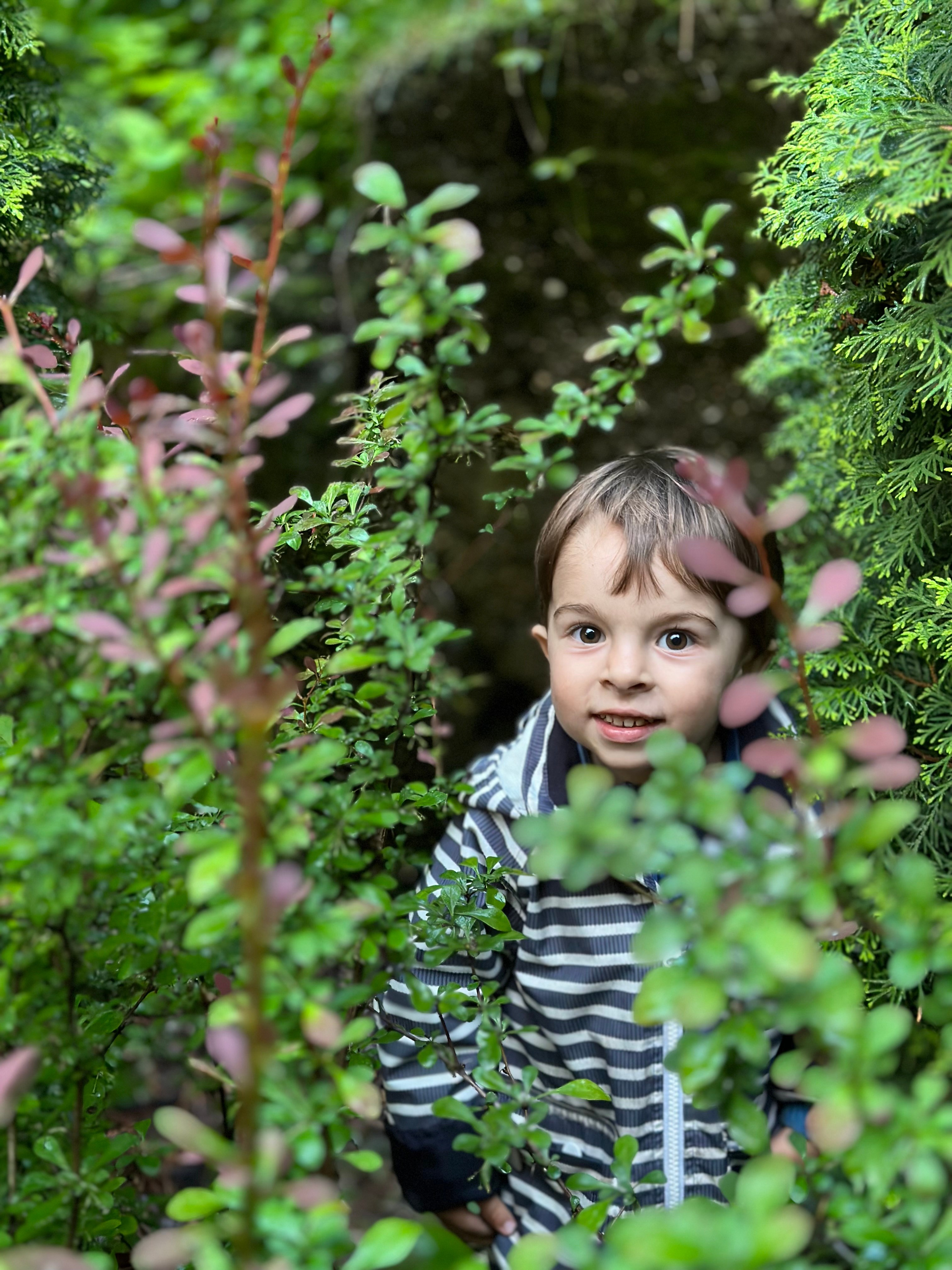 Дети. Смотри, красота!