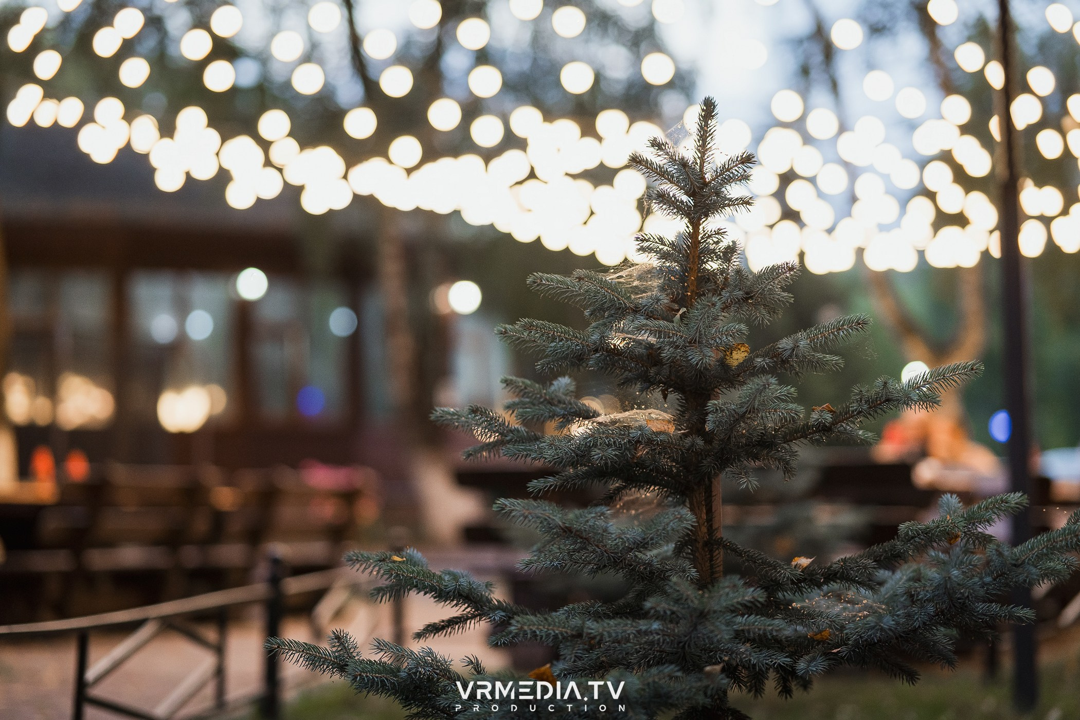 В гостях у «Петровича»