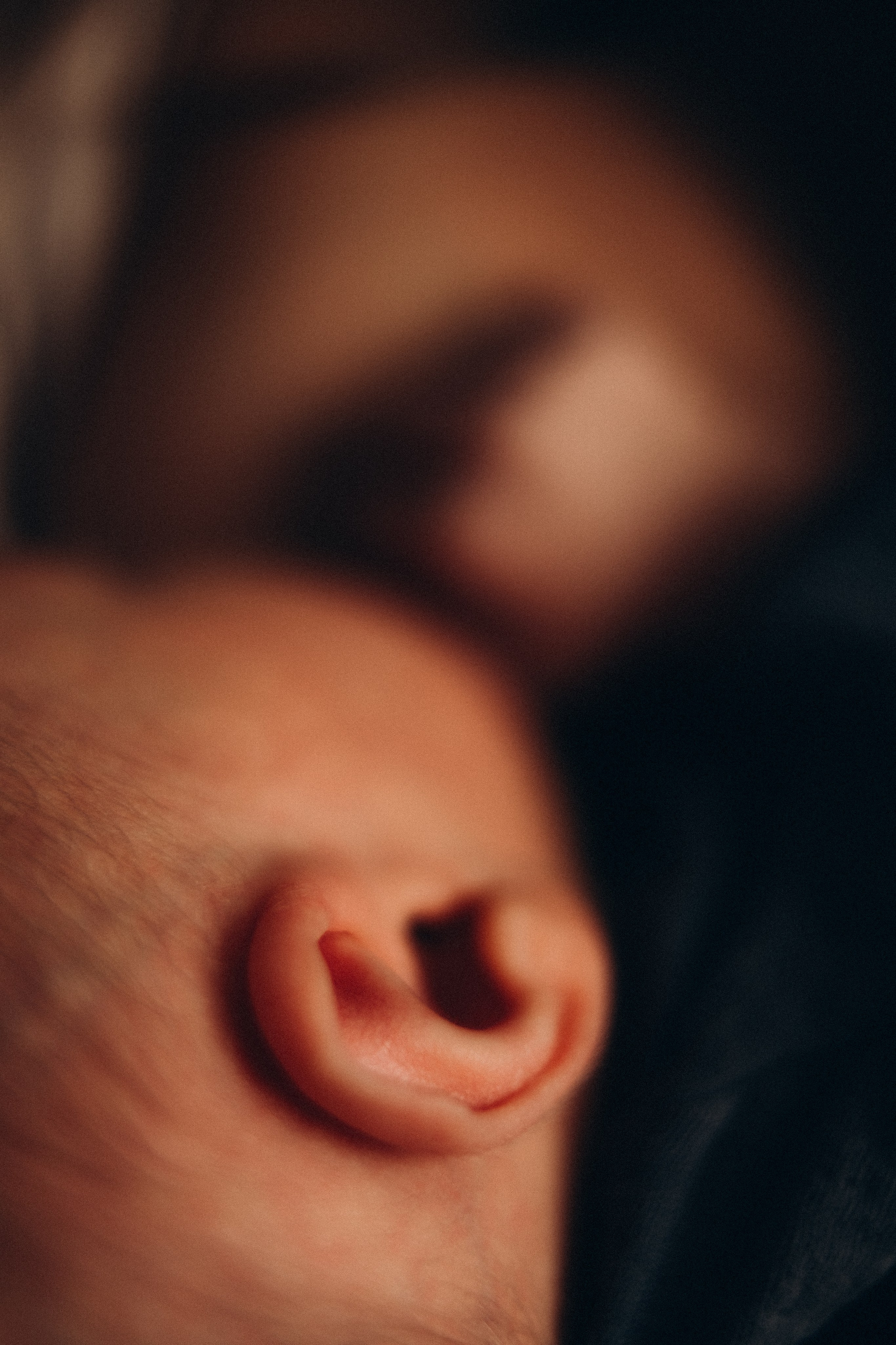 Платон. Евгения Пелипас