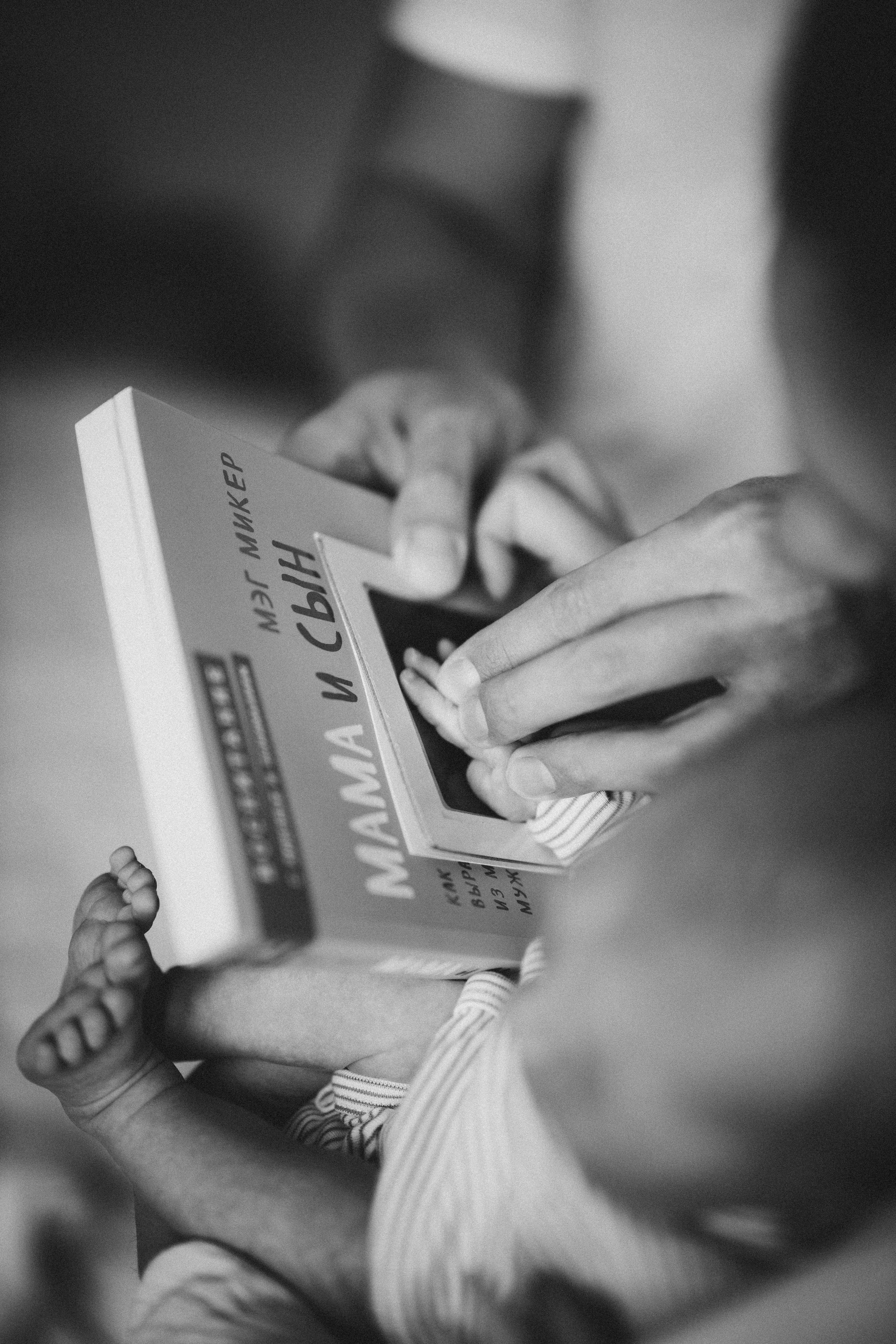 Платон. Евгения Пелипас