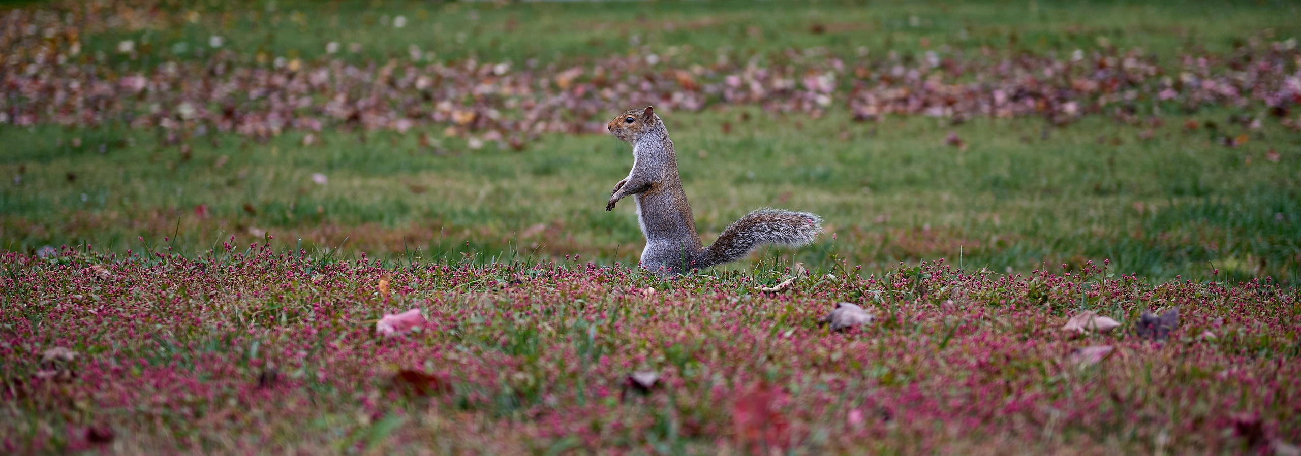 USA. Фотограф Слава Орловский