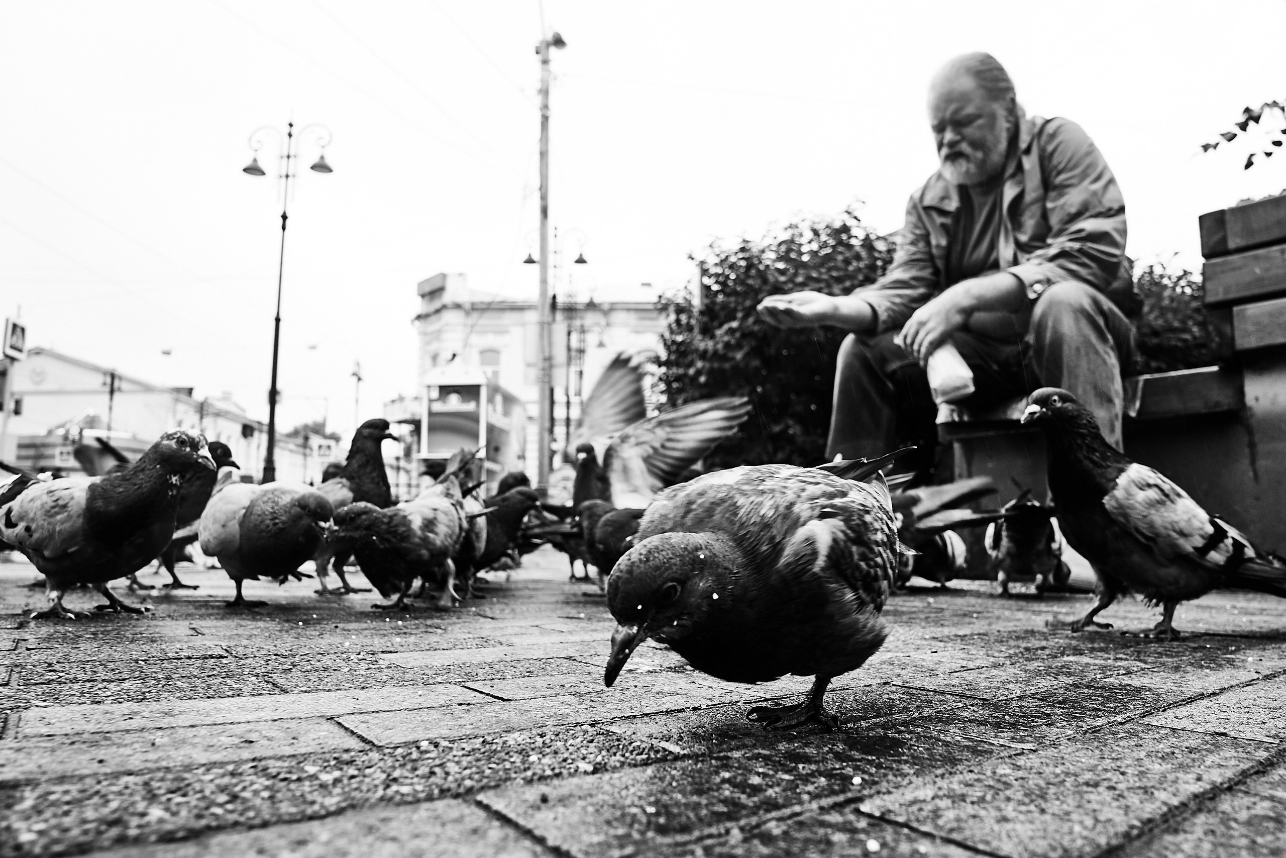 Томск 23г. Фотограф и оператор мероприятий, концертов и портретов в городе Москва