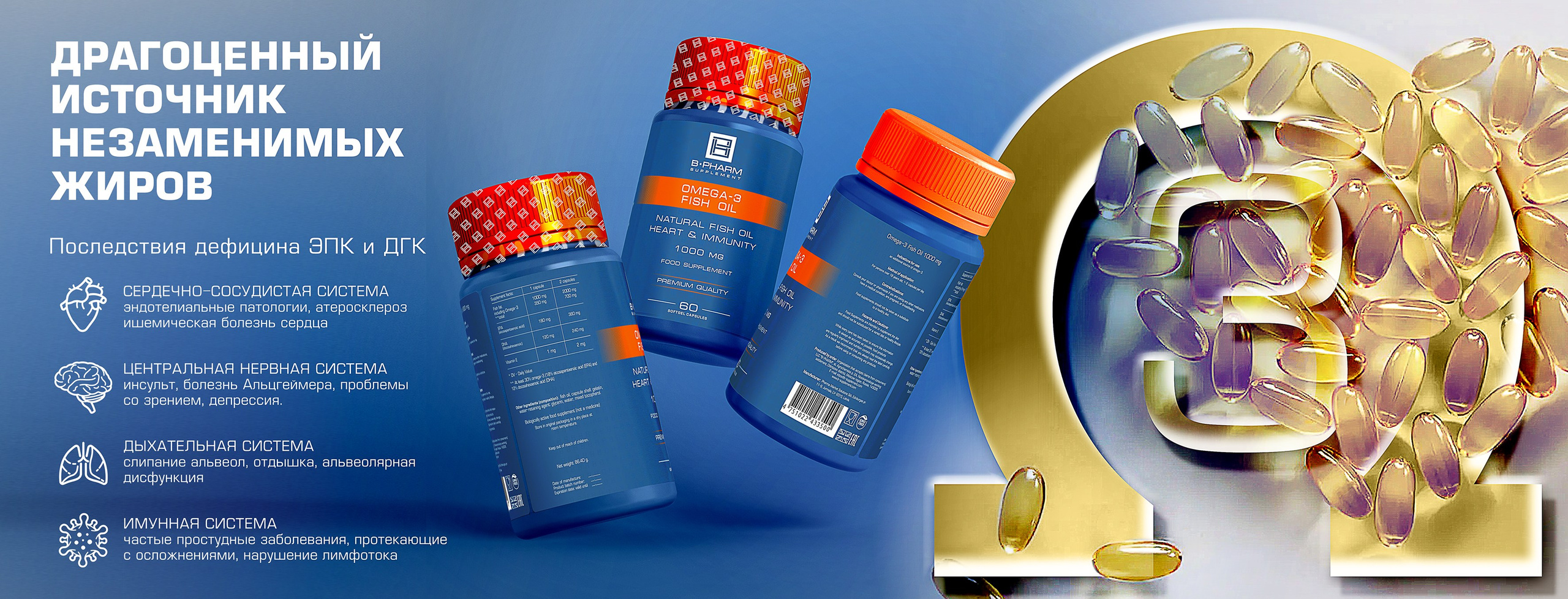 B-VIT. MoshaDesign
