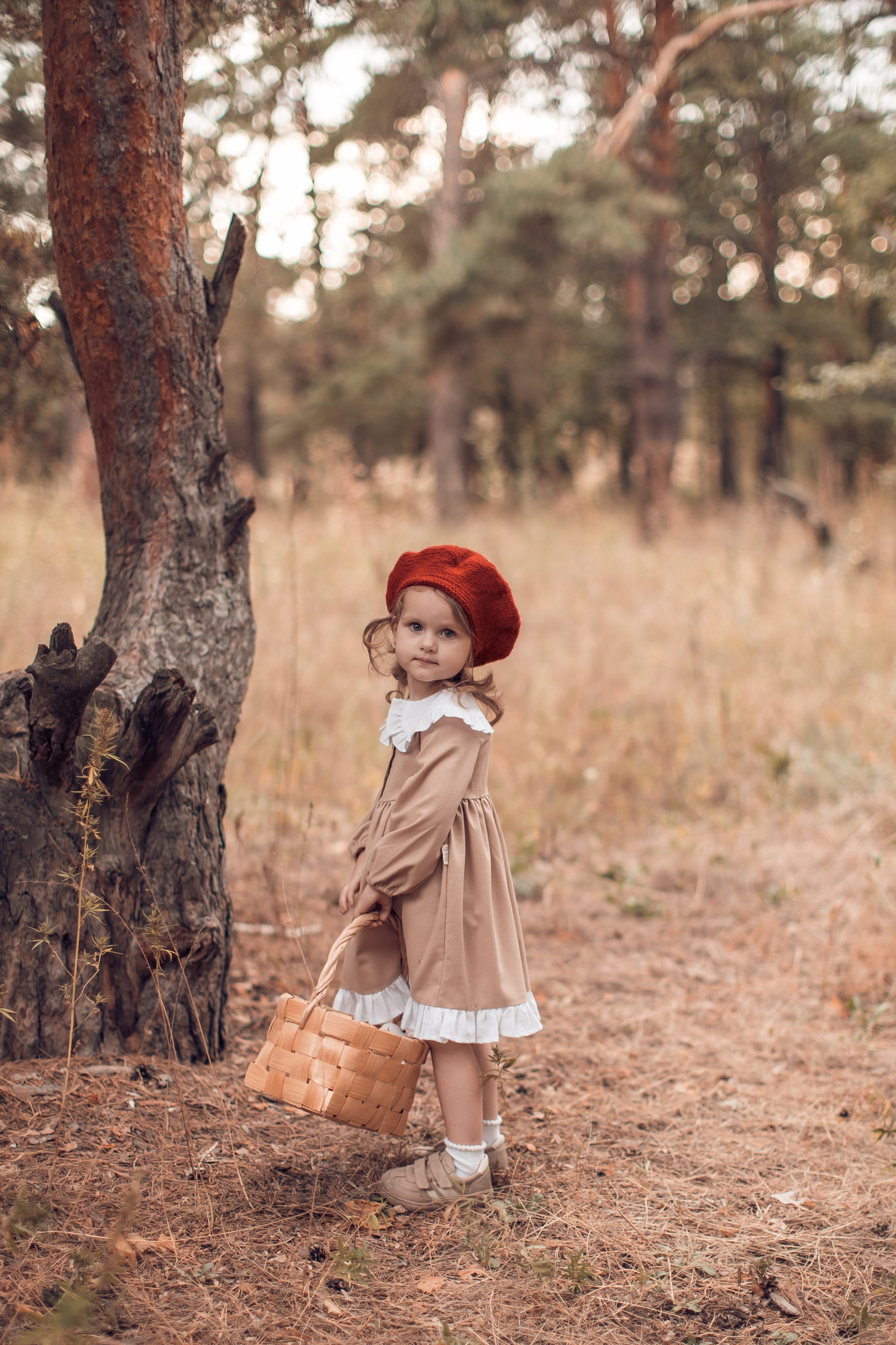 Прогулка в Широком. Главная