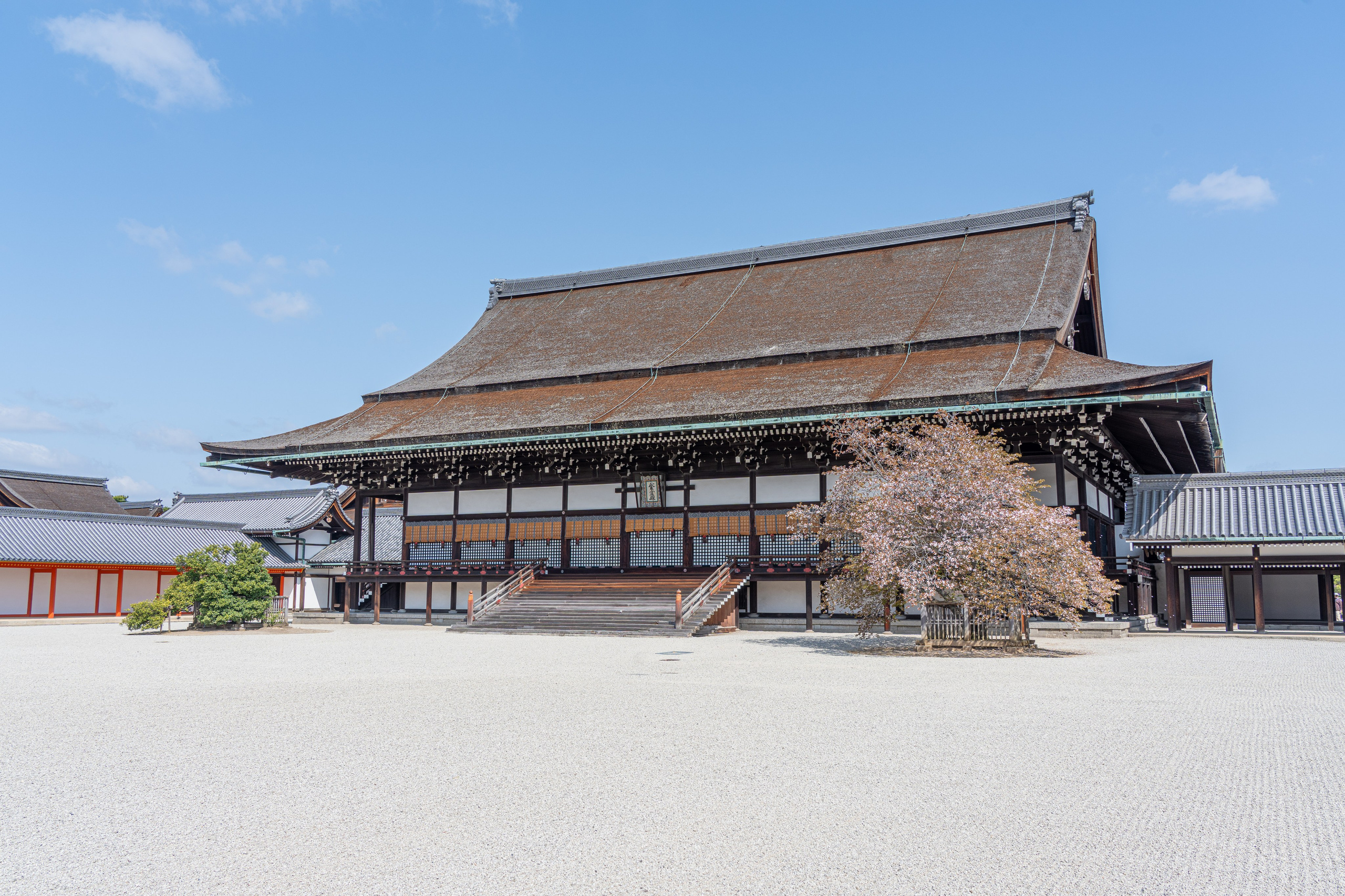 Япония, сакура. Творческие сьемки