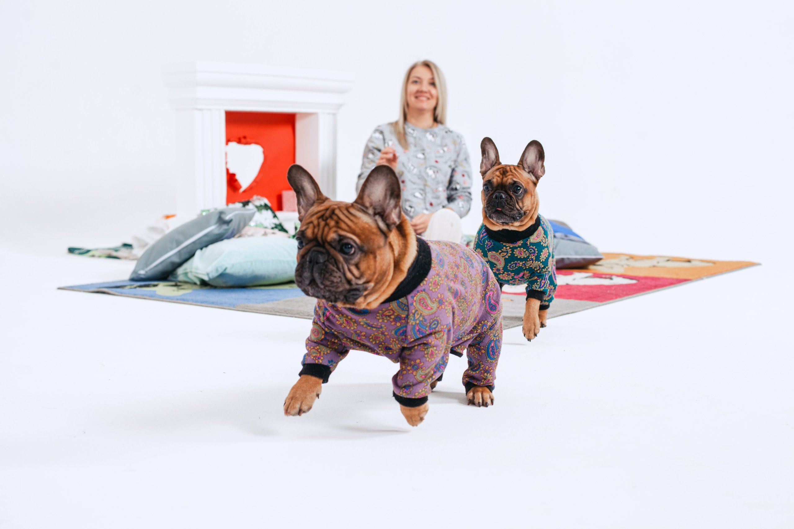Пижамная вечеринка французских бульдогов и их хозяев. Фотограф-анималист Татьяна Степанова