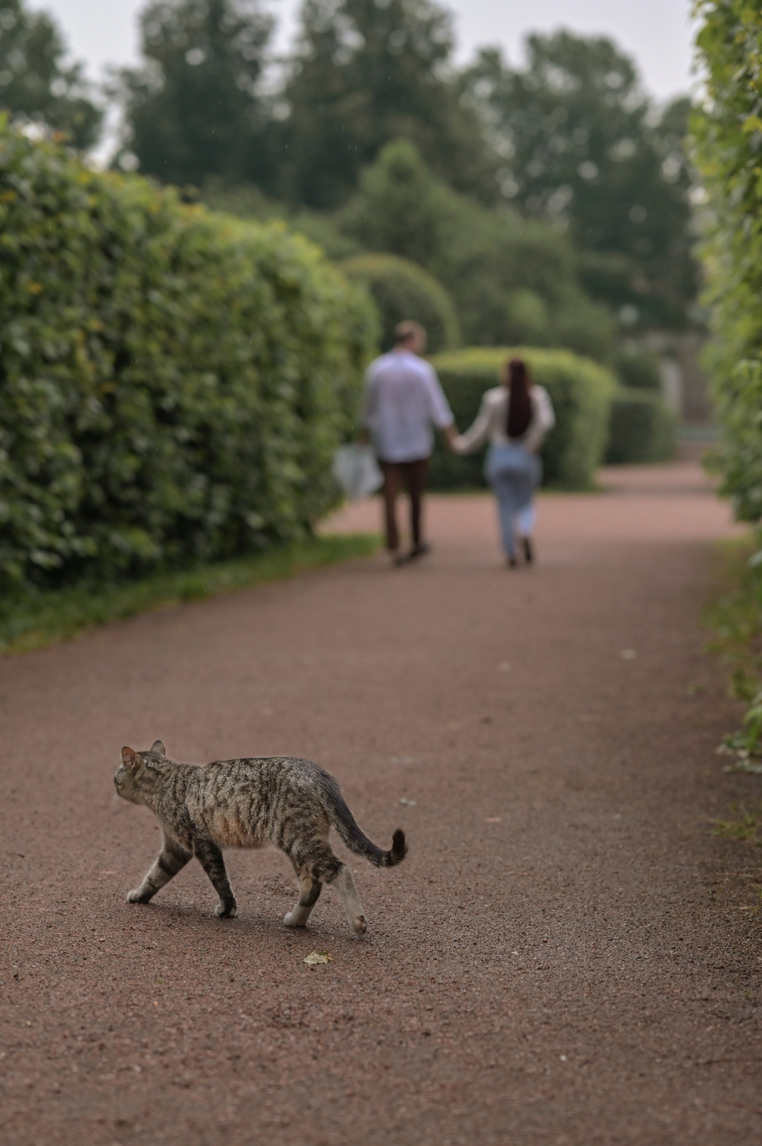 Иван&Гюлназ. Семейный и репортажный фотограф в Москве Анастасия Трубкина