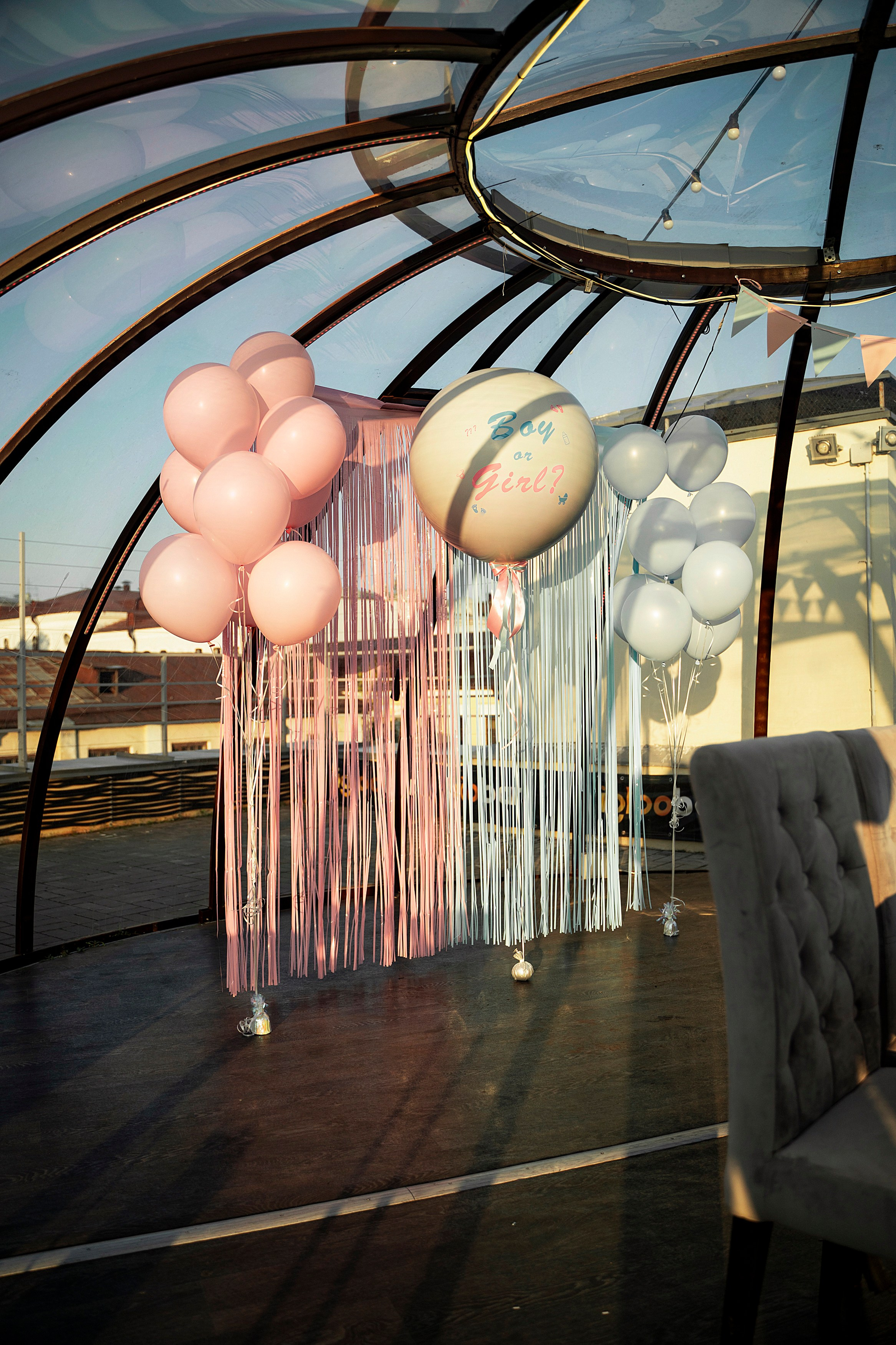 Гендер пати. Фотограф Казань