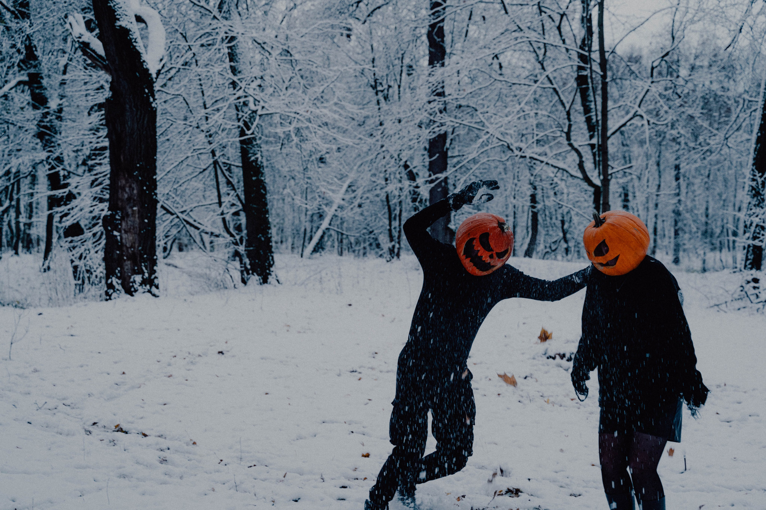 Pumpkin spice. Портретный фотограф в Москве Эмиль Халиков