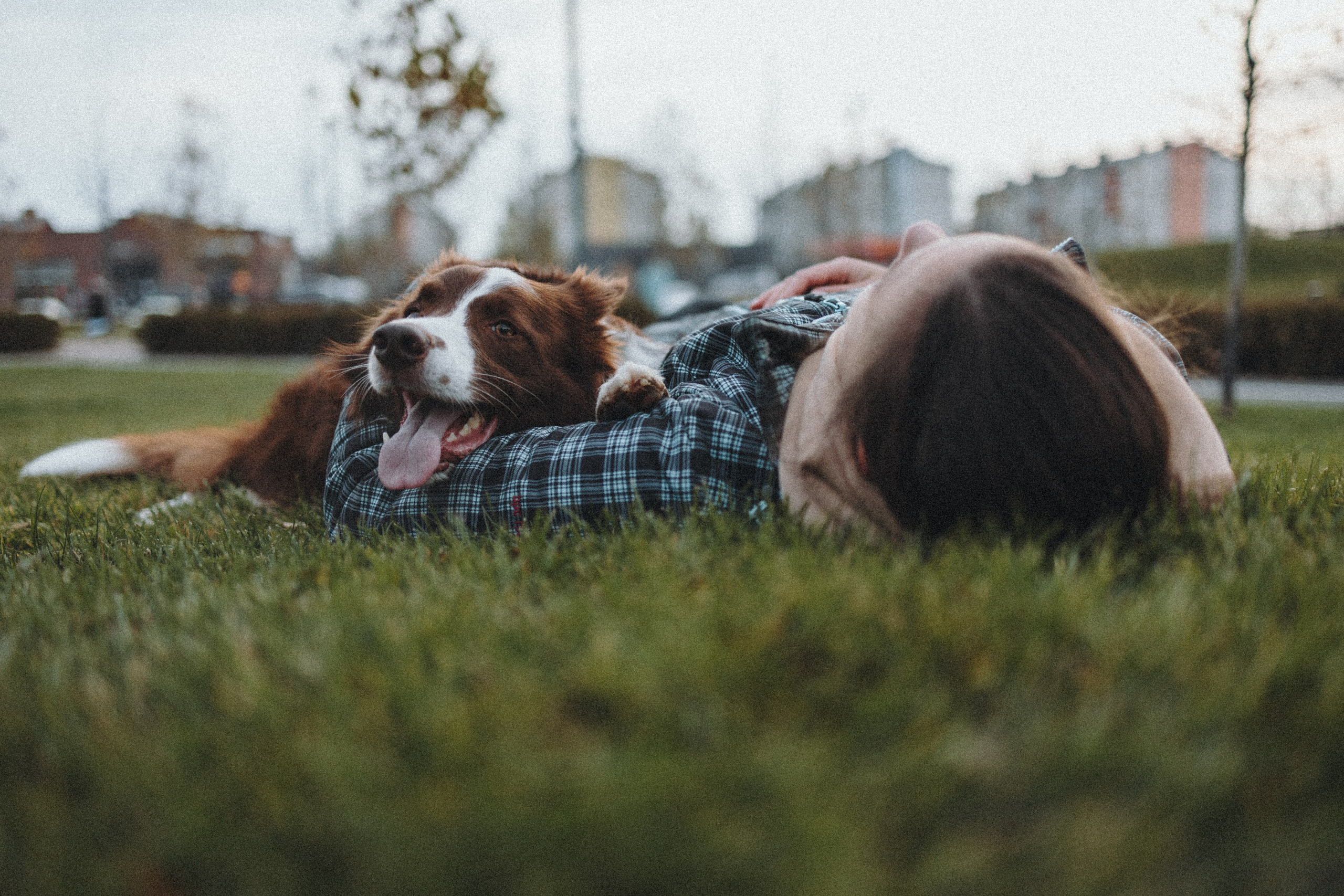 Маша и Тори. Фотограф — анималист Светлана Кысса|фотограф собак в Краснодаре и Нижнем Новгороде