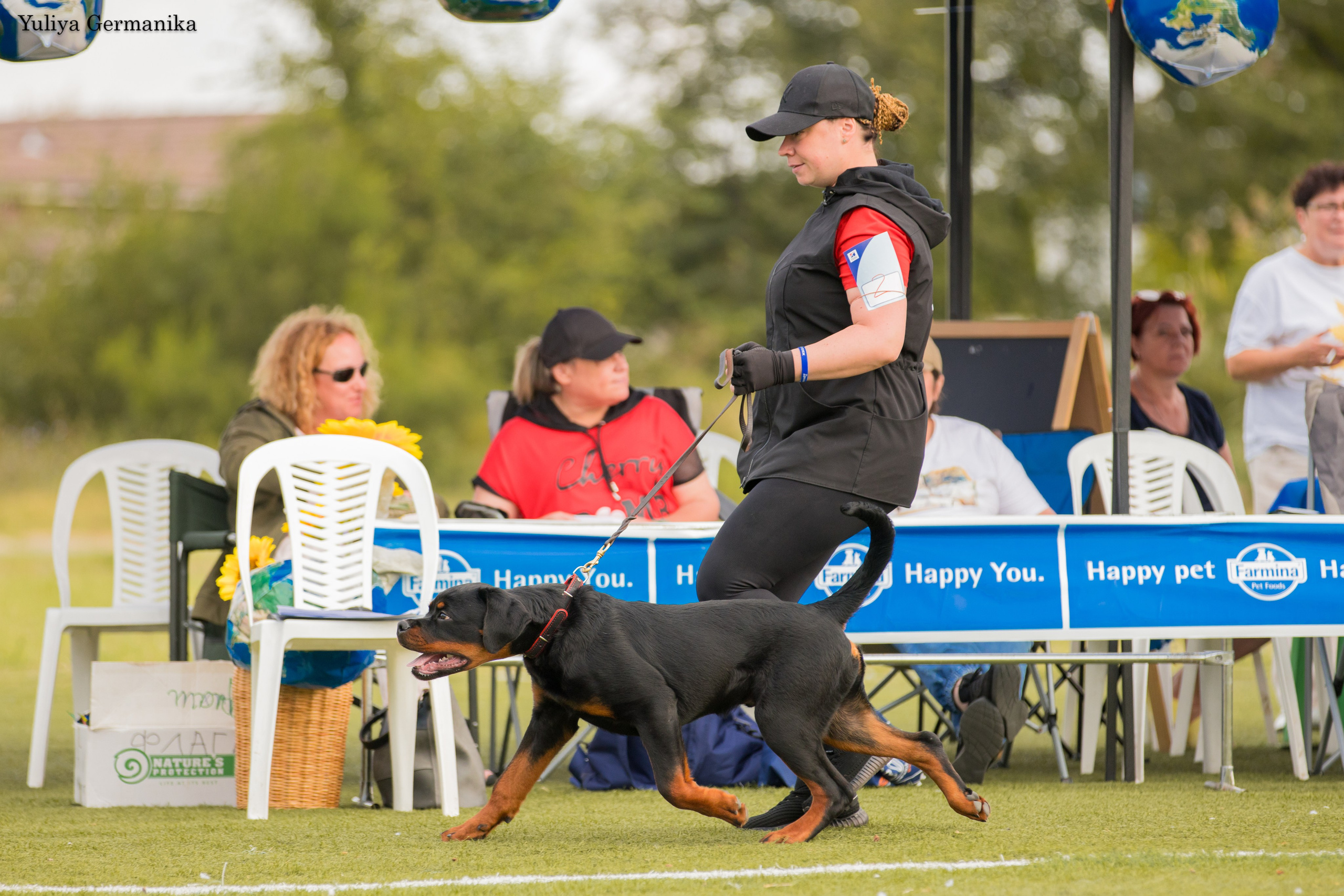 Анапа 16-17.09.2023 моно ротвейлеров. Фотограф-анималист Юлия Германика