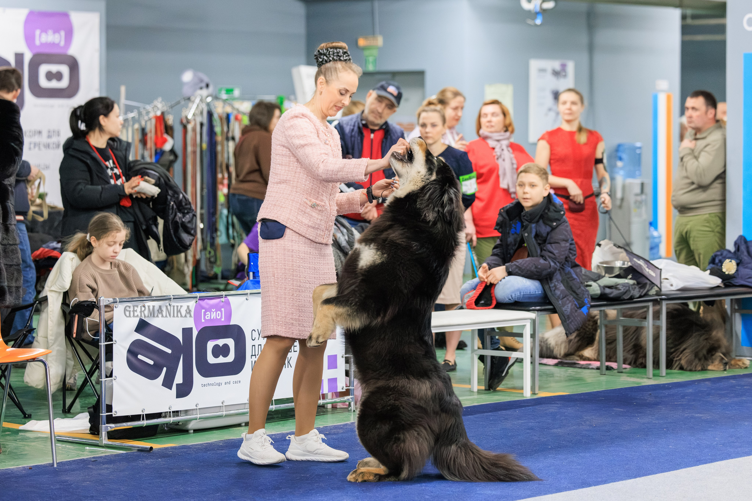 Сфера 08 и 10.03.2024 2хмоно ротвейлеров+2хмоно сао. Фотограф-анималист Юлия Германика