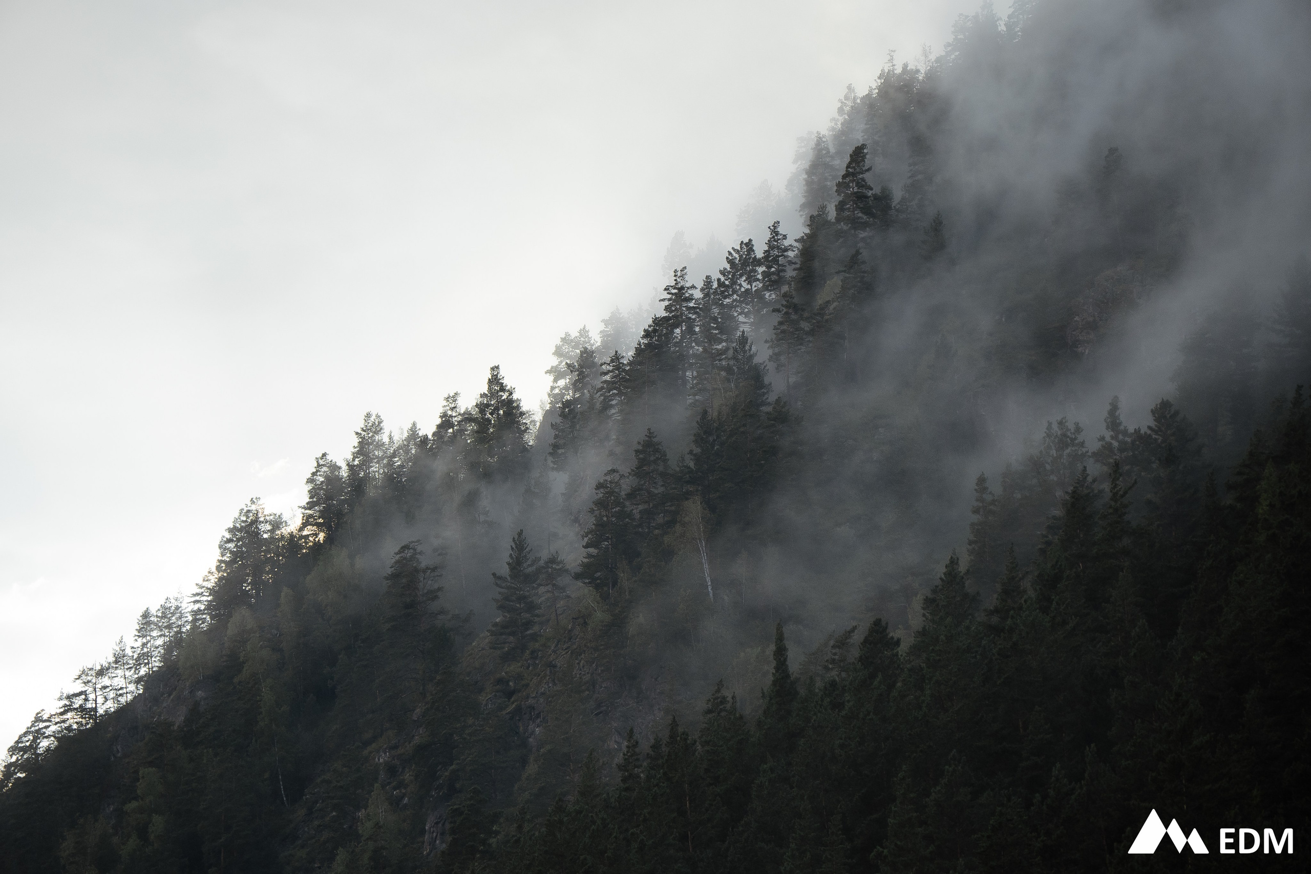 EDM2025. Фотограф Новосибирск Вероника Вишневская