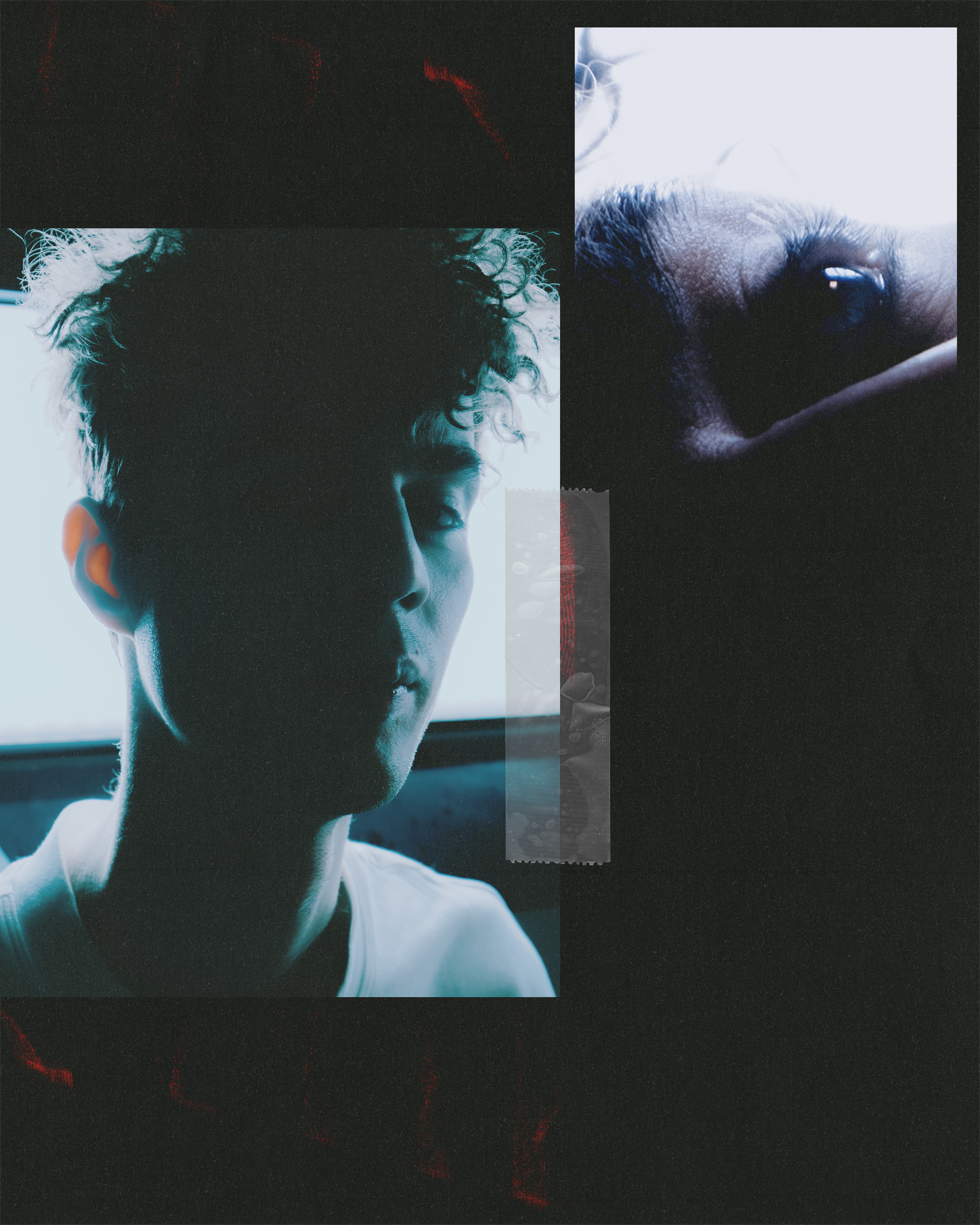 Маленький Маквин. Фотограф Алиса Аспер