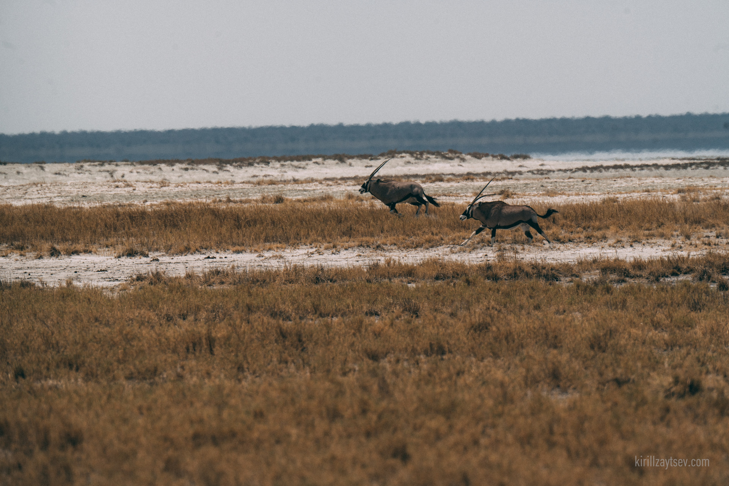 Жизнь. Профессиональный фотограф Кирилл Зайцев