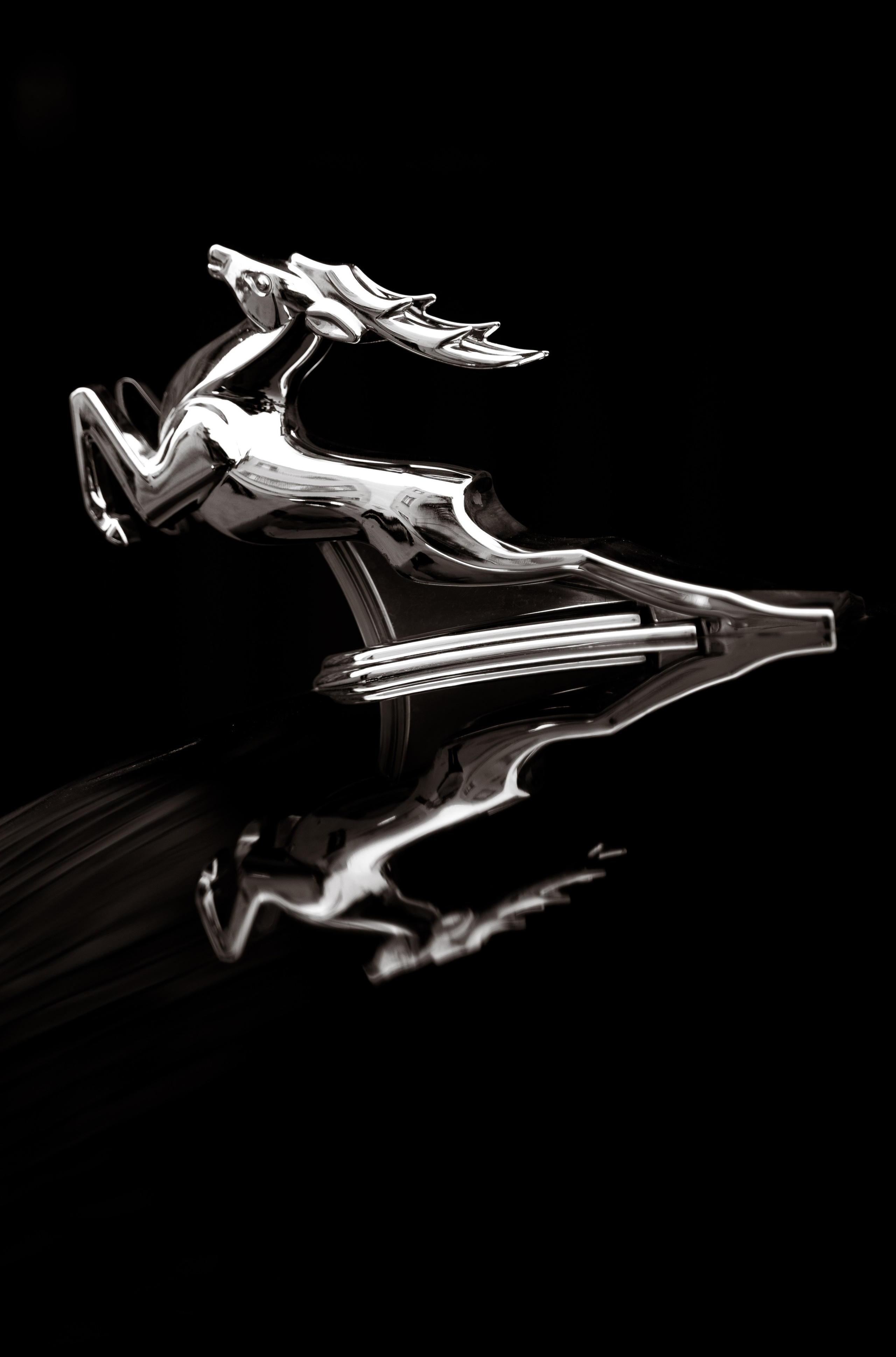 Николай & Мария. Свадебный и семейный фотограф в Краснодаре Павел Мельников