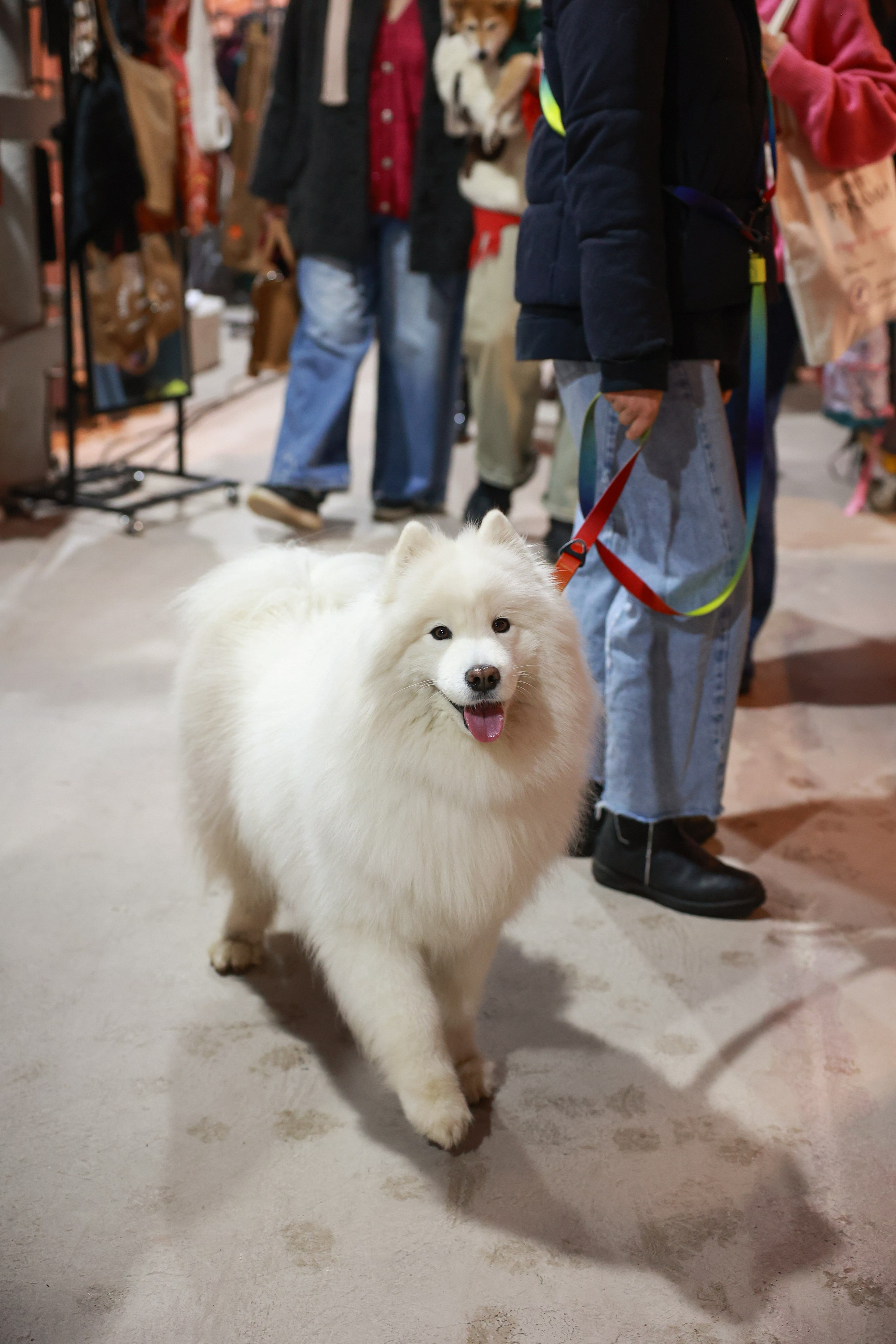 7–8 марта 2026 в Типографии Сытина / фото Саша Жукова. Фотоотчеты «Ламбада-маркета»