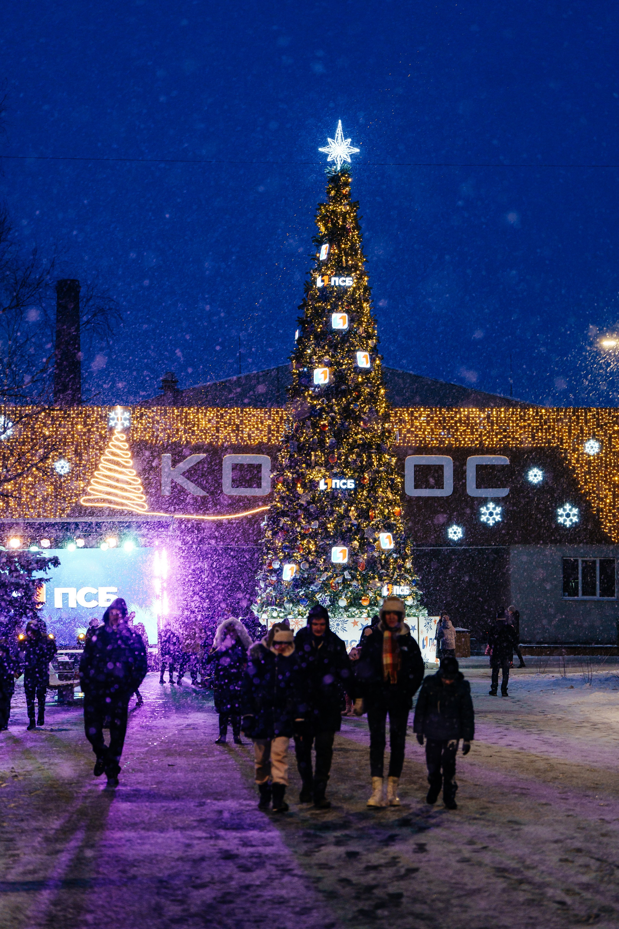 Открытие парка в Луганске. Студия событий ДЕЙЗИ. Организация мероприятий. Свадебное агентство в Ростове-на-Дону. Свадебный организатор. Организация свадьбы под ключ