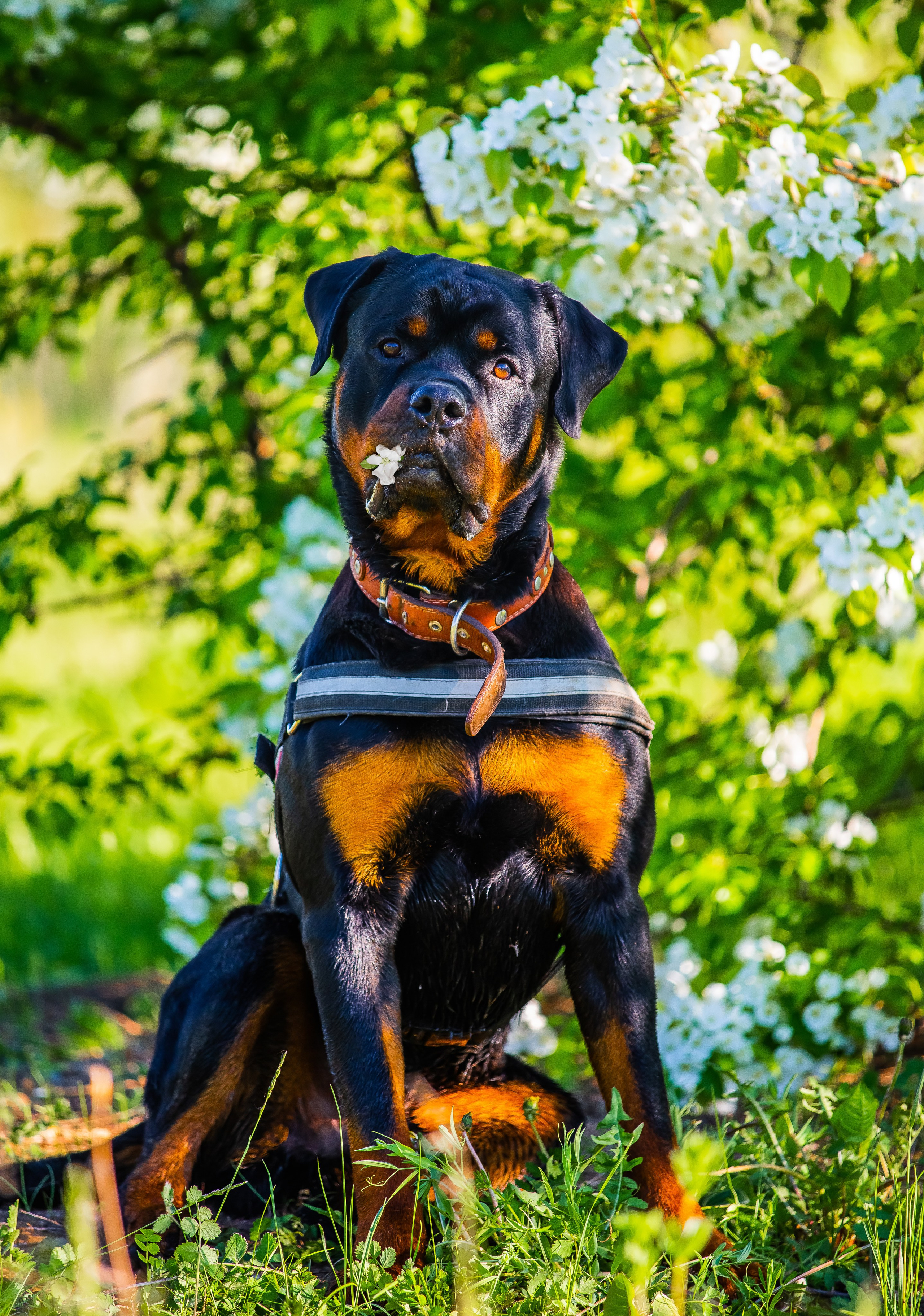 Животные. Авторские туры с профессиональным фотографом