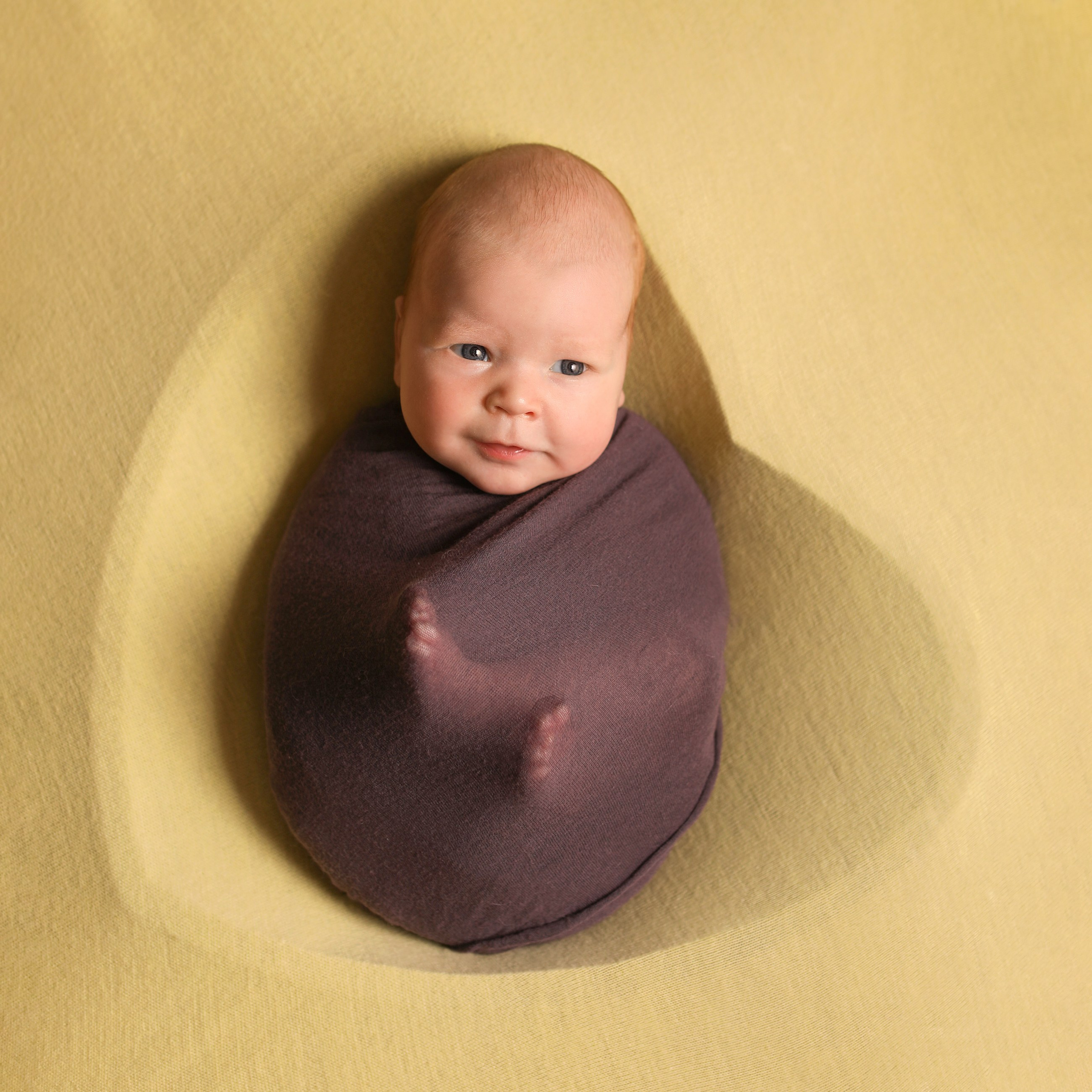 фотосессии новорожденных великий новгород