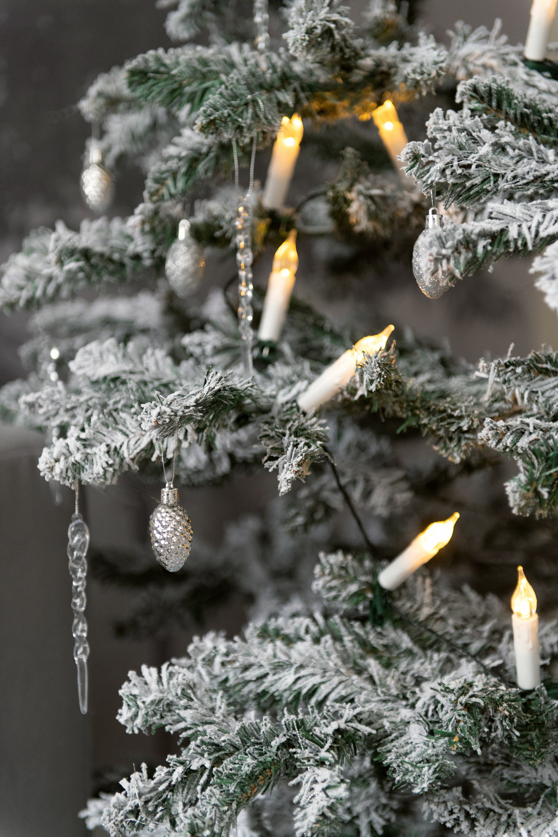 MISTY. Семейная, детская, свадебная фотостудия полного цикла в Рязани