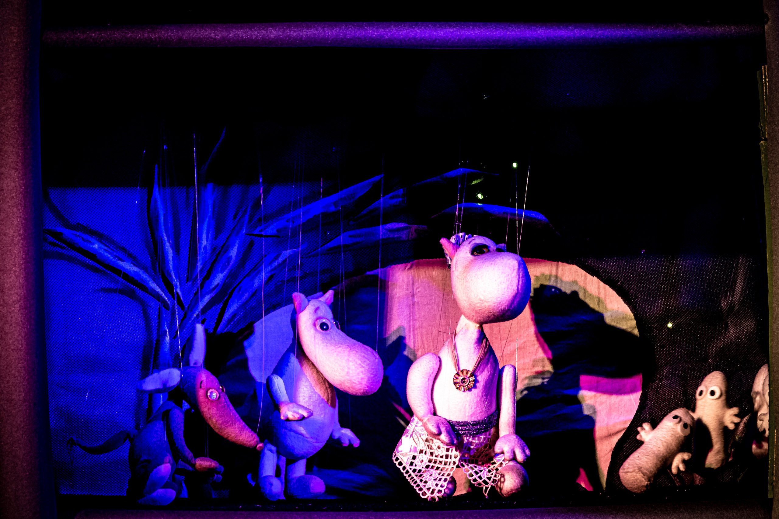 «Муми тролли и большое наводнение». Фотограф в Сочи Юрий Шептаев