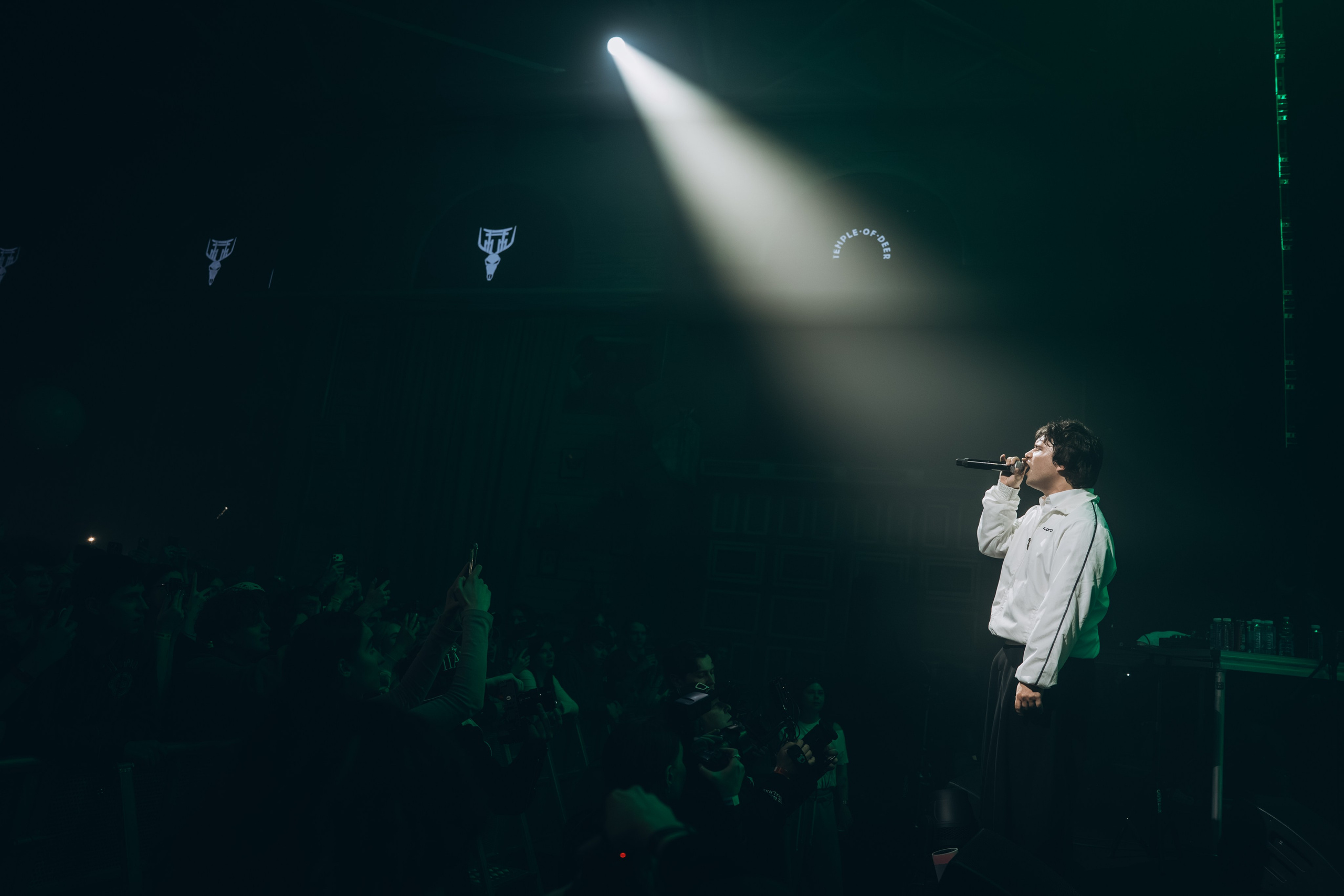 SALUKI. Фотограф Санкт-Петербурга