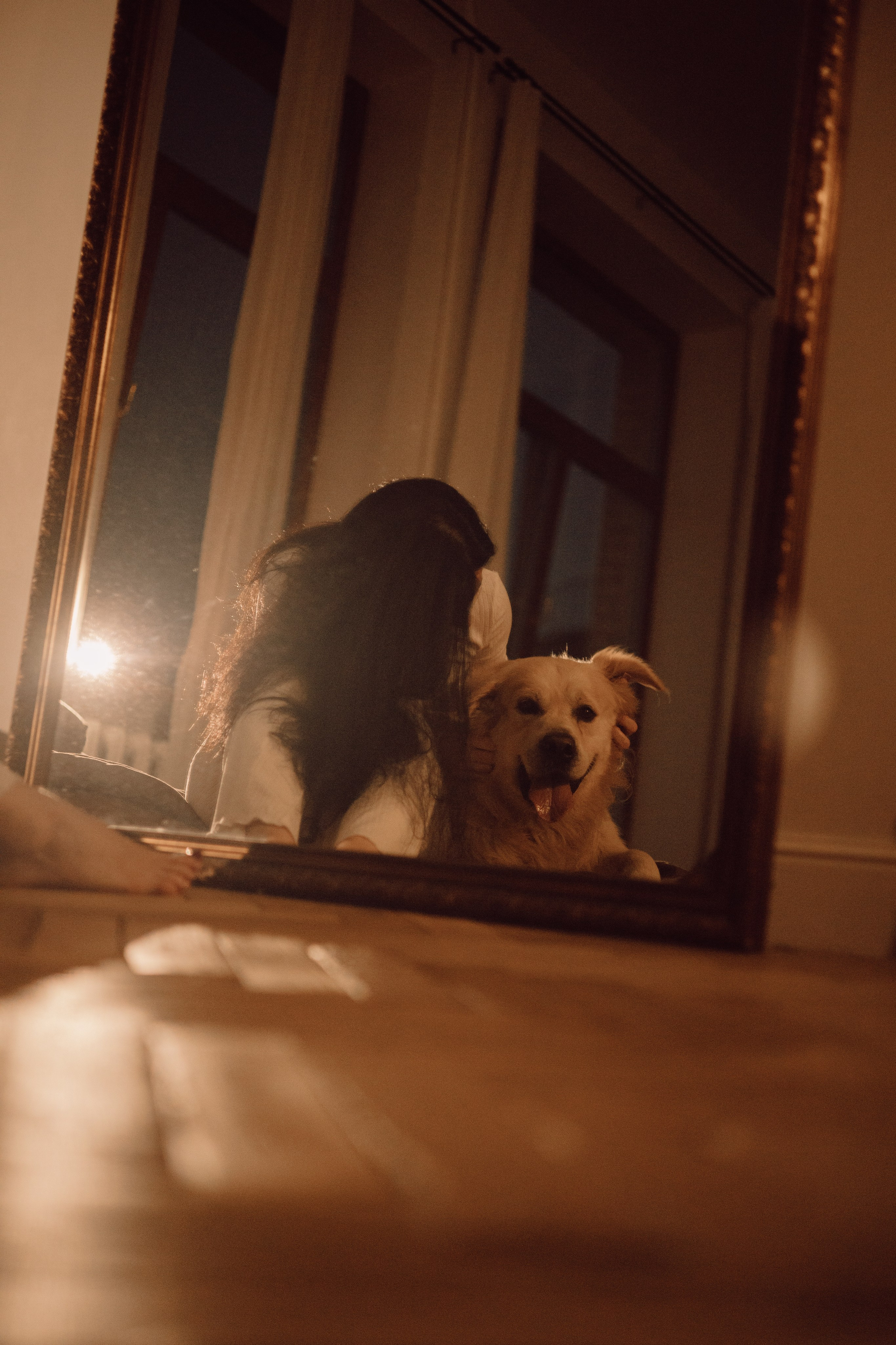 Лёва и его семья. Фотограф — анималист •love-story•|Санкт-Петербург