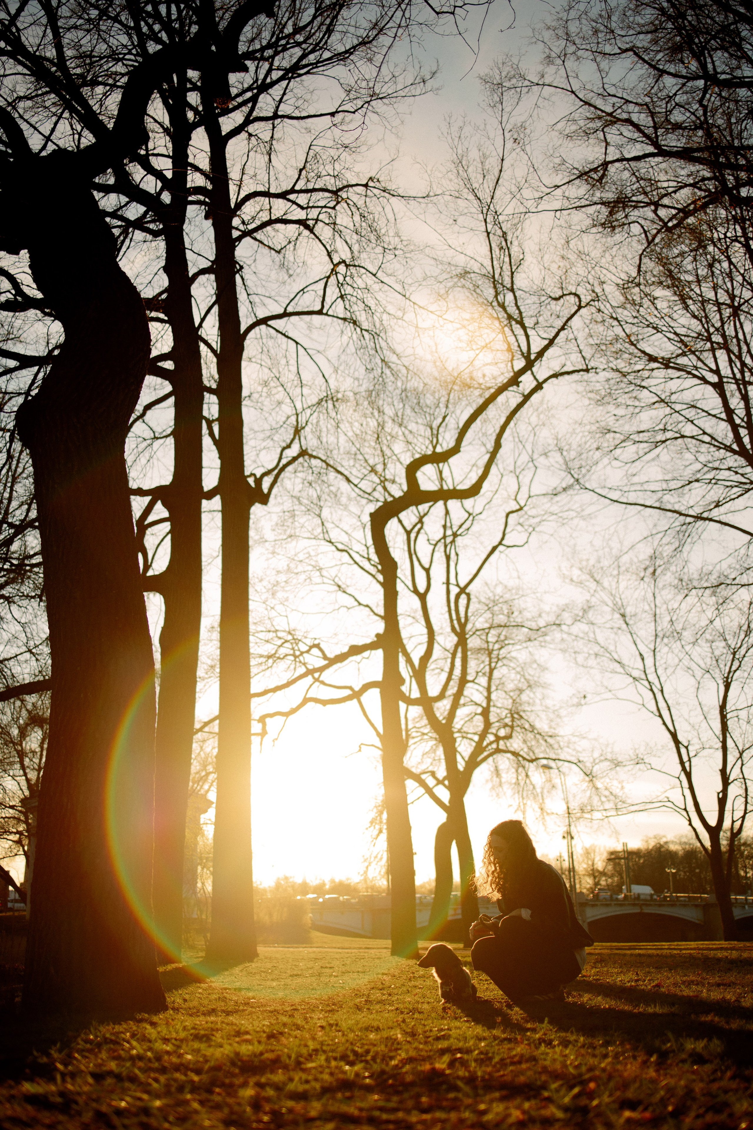 Одна прогулка из жизни Бимы. Семейный фотограф Питер •love-story•|Санкт-Петербург
