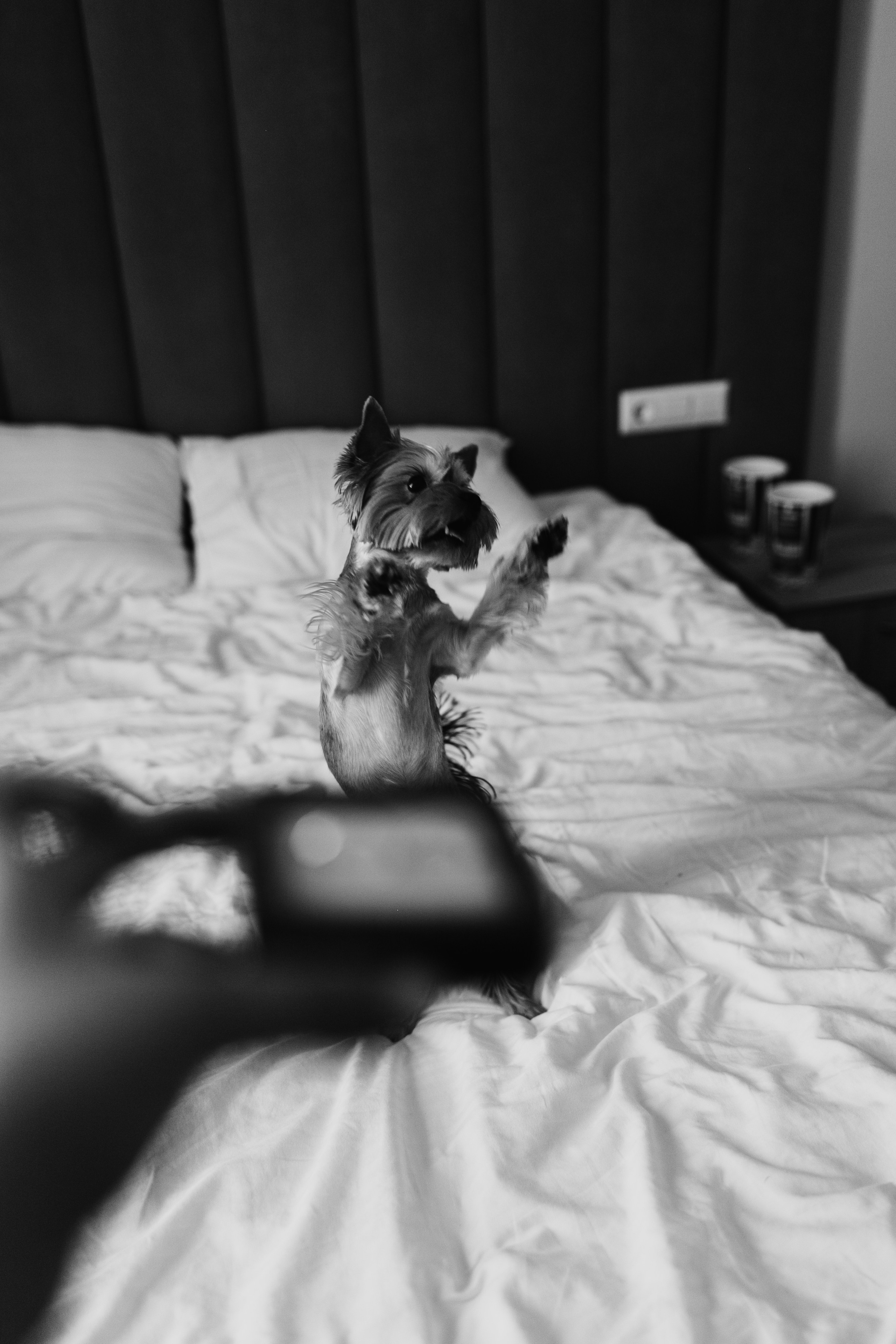 Настя и Кирилл. Фотограф Юлия Обрезкова Нижний Новгород