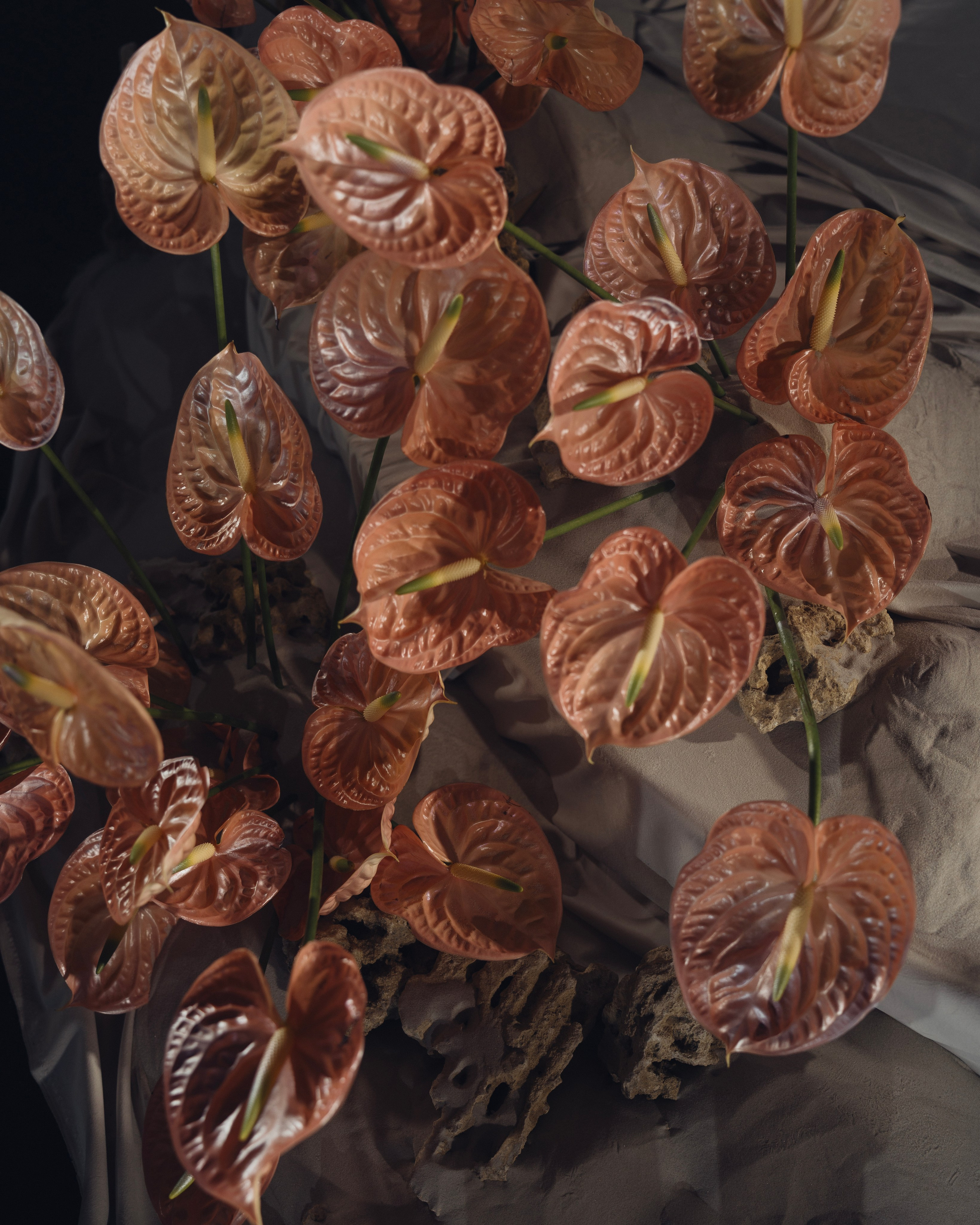 МОЙ ОКЕАН. Свадебный фотограф в Москве Мария Кривоногова