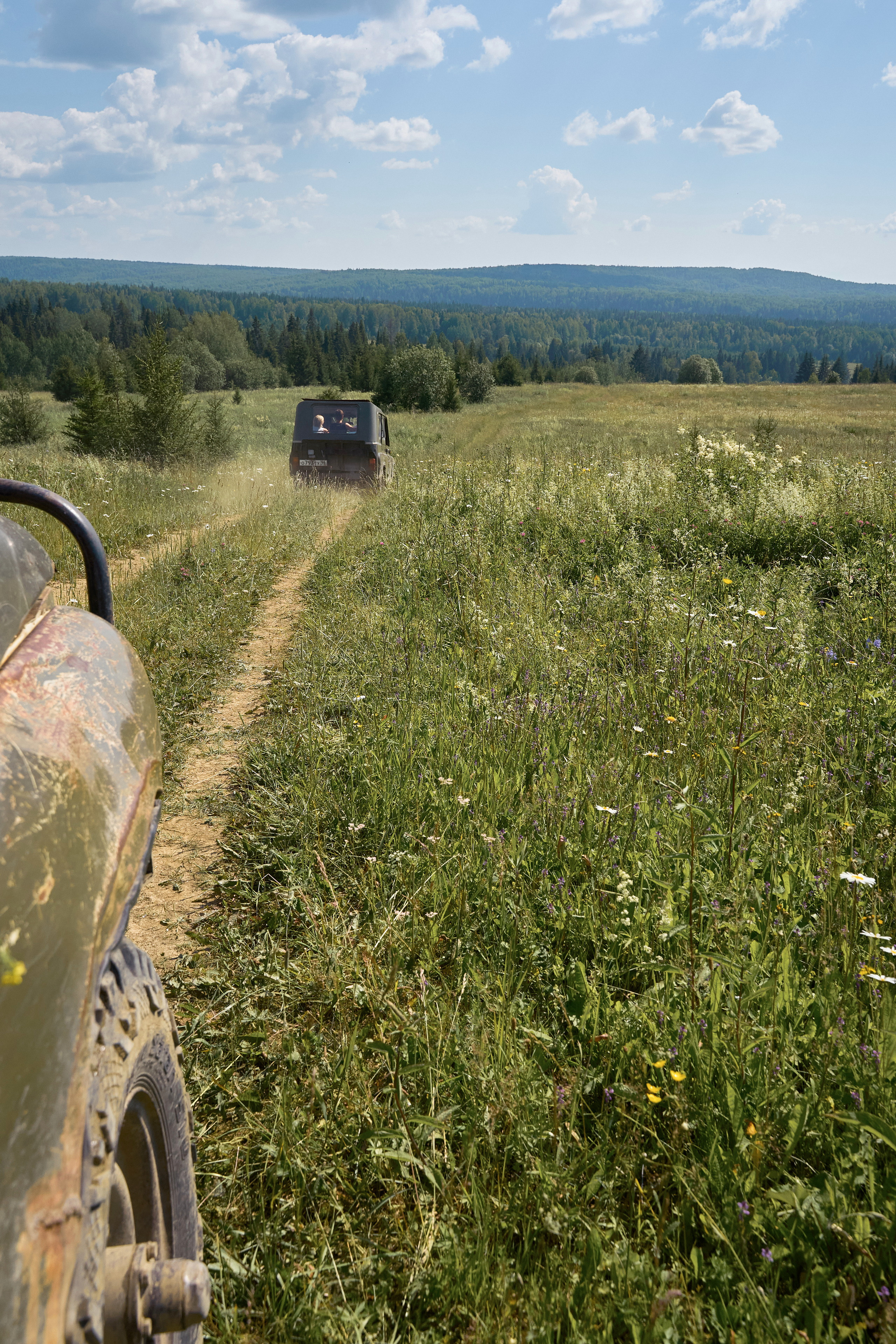 Фотограф на загородное мероприятие. Праздничный фотограф Дмитрий Трифонов