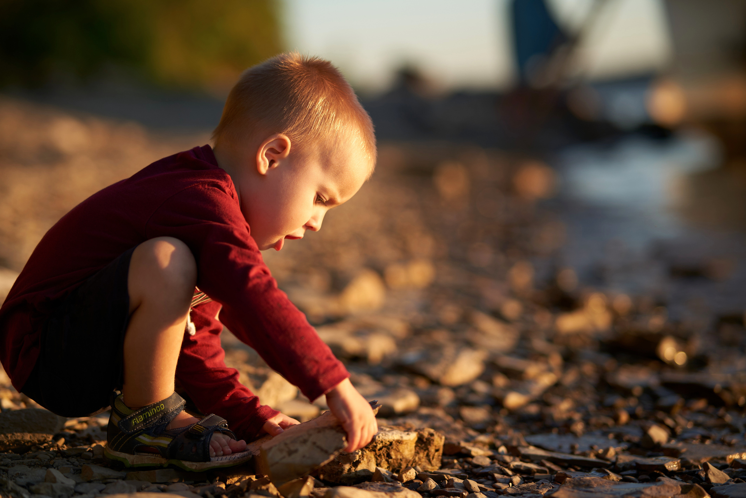 Фотограф на загородное мероприятие. Праздничный фотограф Дмитрий Трифонов