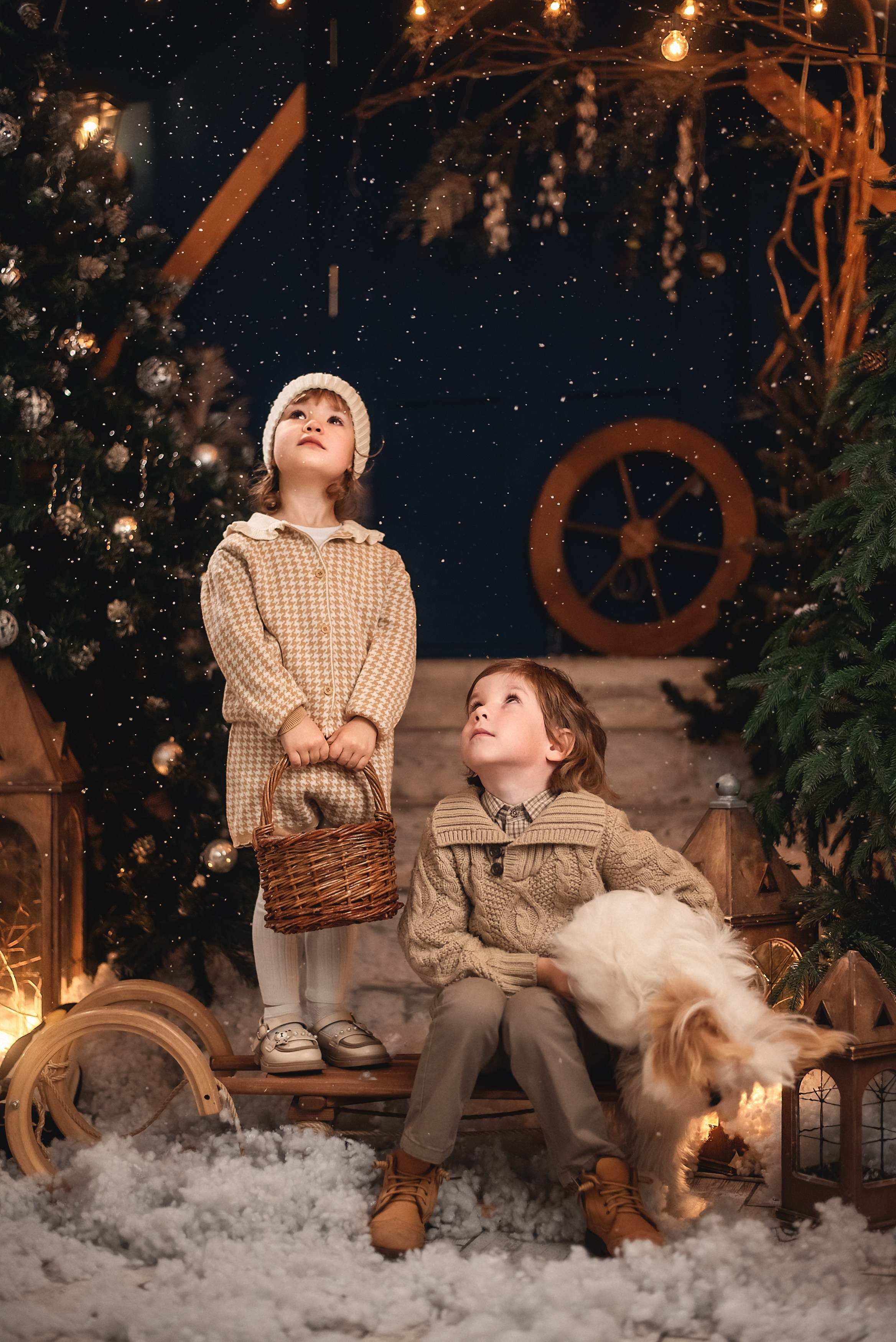 Новогодние фотосессии в Брянске