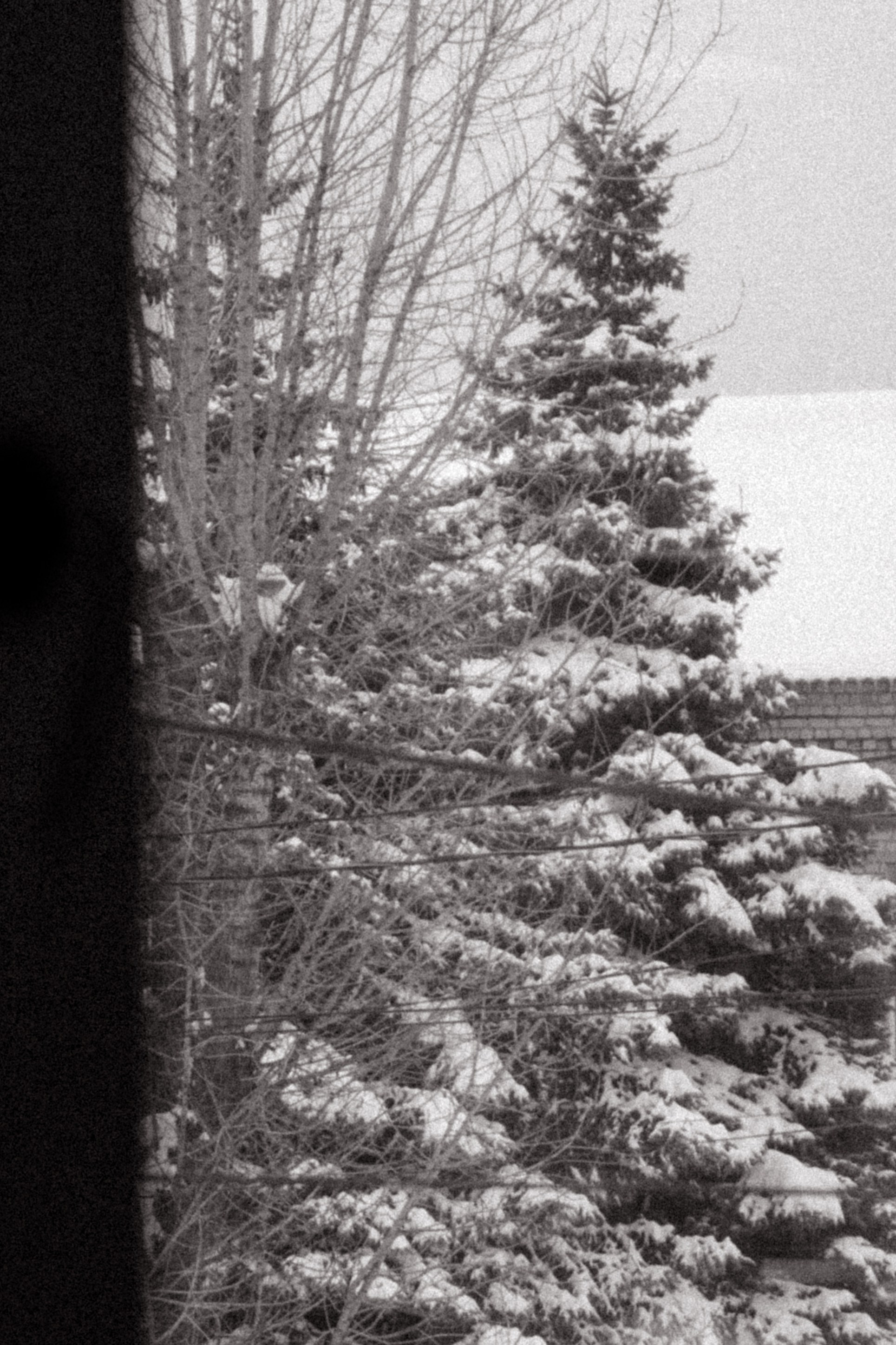 Всё начинается с любви. Рыкова Светлана | фотограф и мобильный видеограф | Брянск Москва Спб