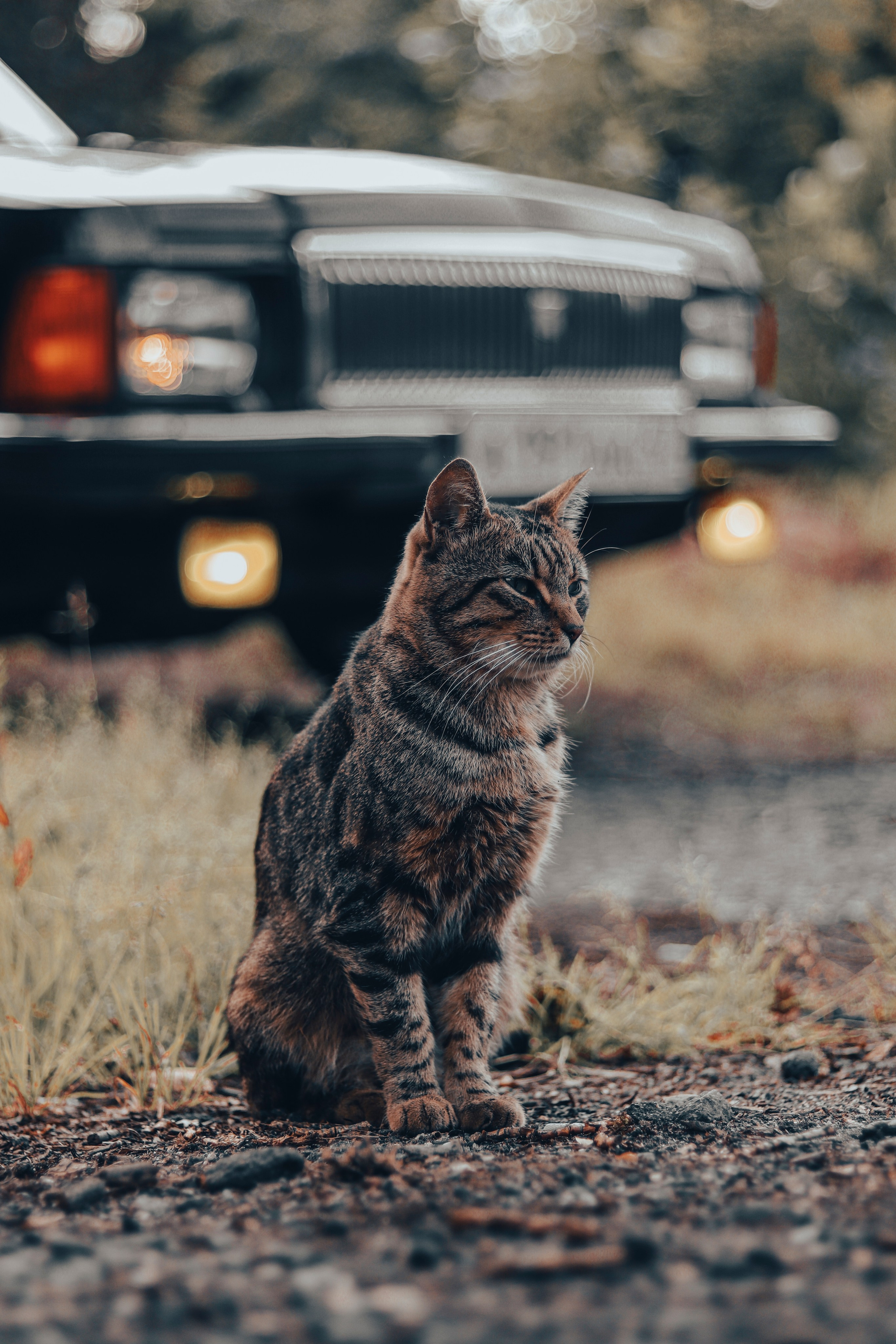 ГАЗ 3102. Ивентный фотограф в Санкт-Петербурге Олег Комков