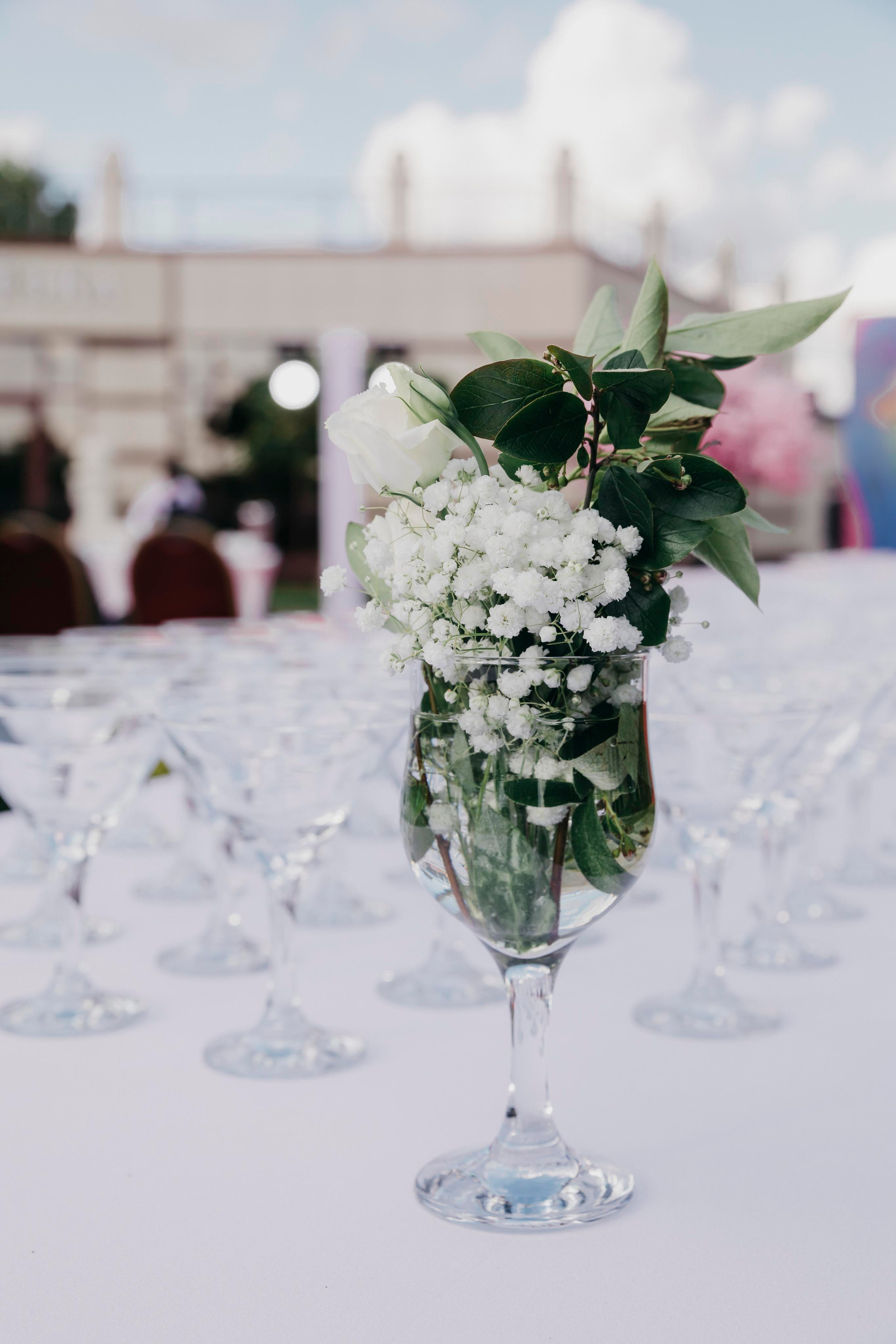 Татьяна Плаксина и Аника Керимова представили коллекцию одежды. «Птичка на проводе»: информационный портал в Москве