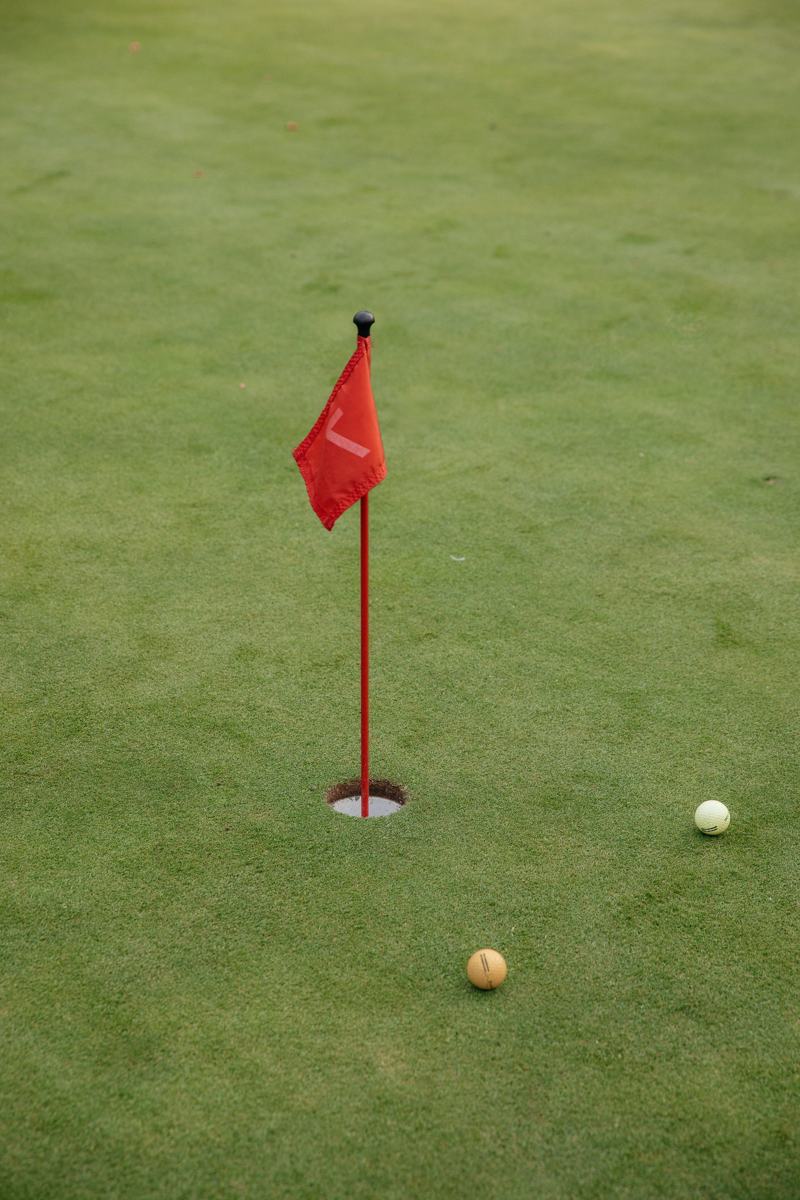 Международный турнир по гольфу North Star Media. «Птичка на проводе»: информационный портал в Москве