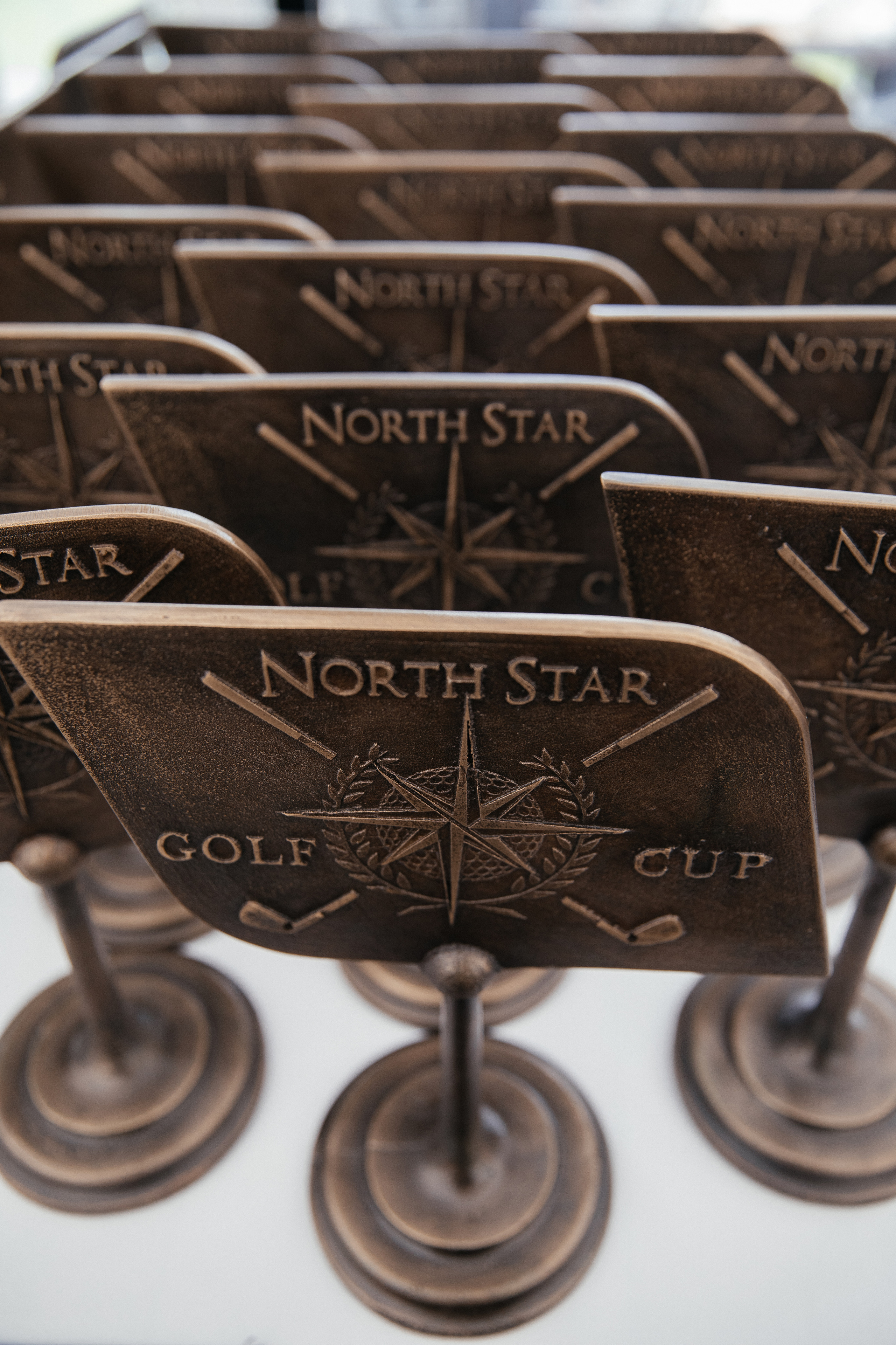 Международный турнир по гольфу North Star Media. «Птичка на проводе»: информационный портал в Москве