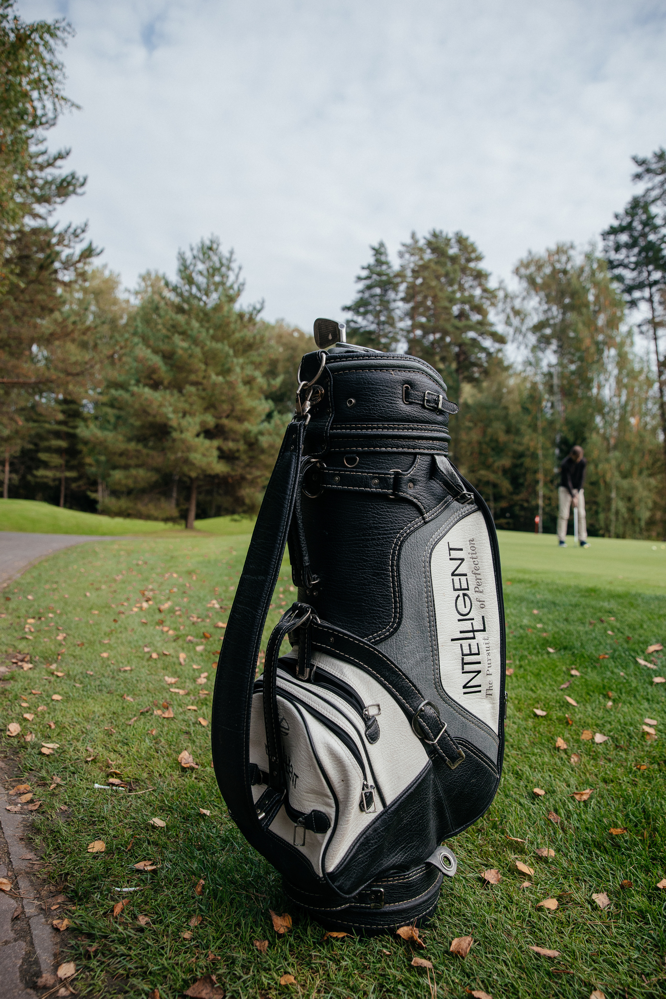 Международный турнир по гольфу North Star Media. «Птичка на проводе»: информационный портал в Москве