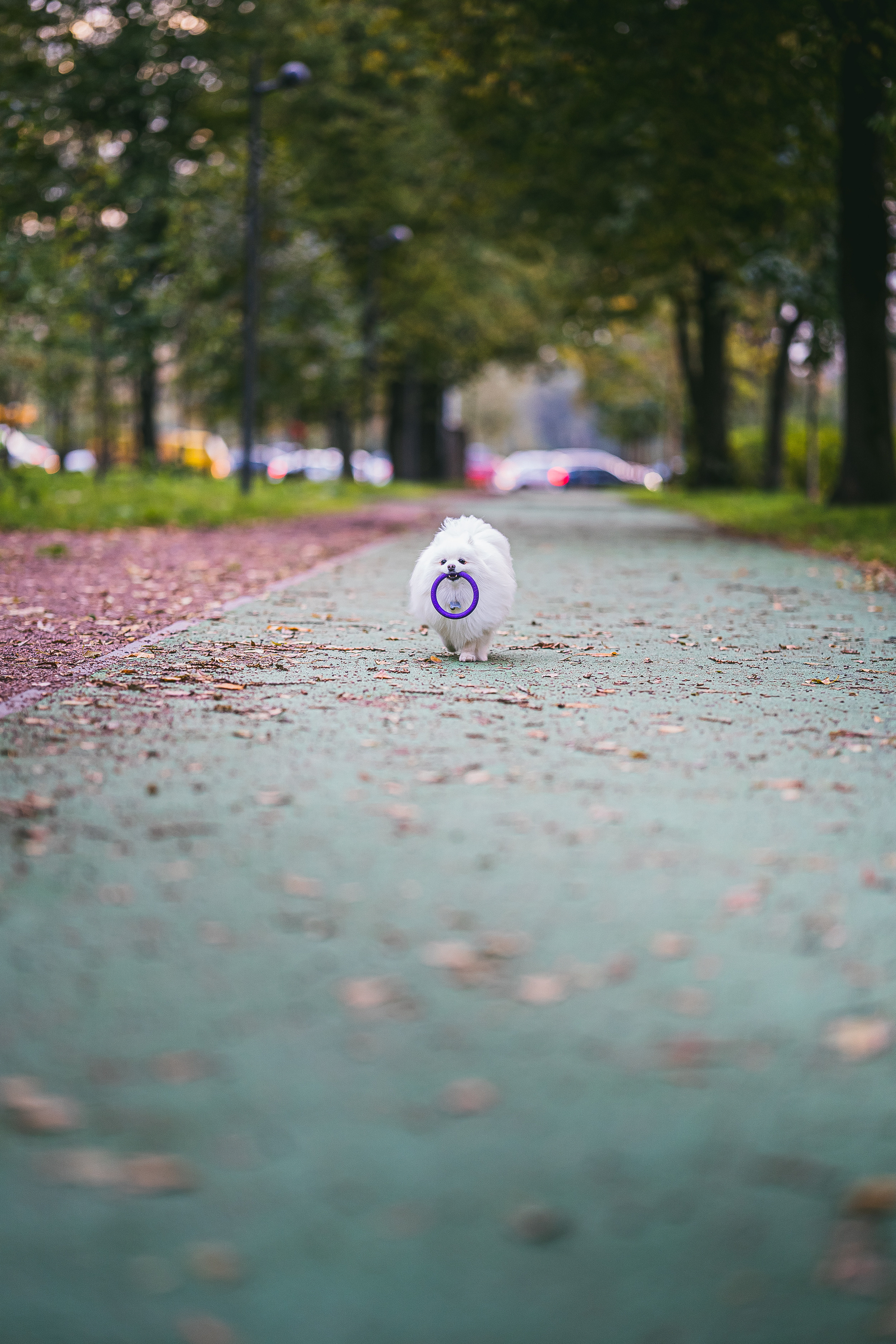 Фотопрогулка. Фотограф Никита Иванов