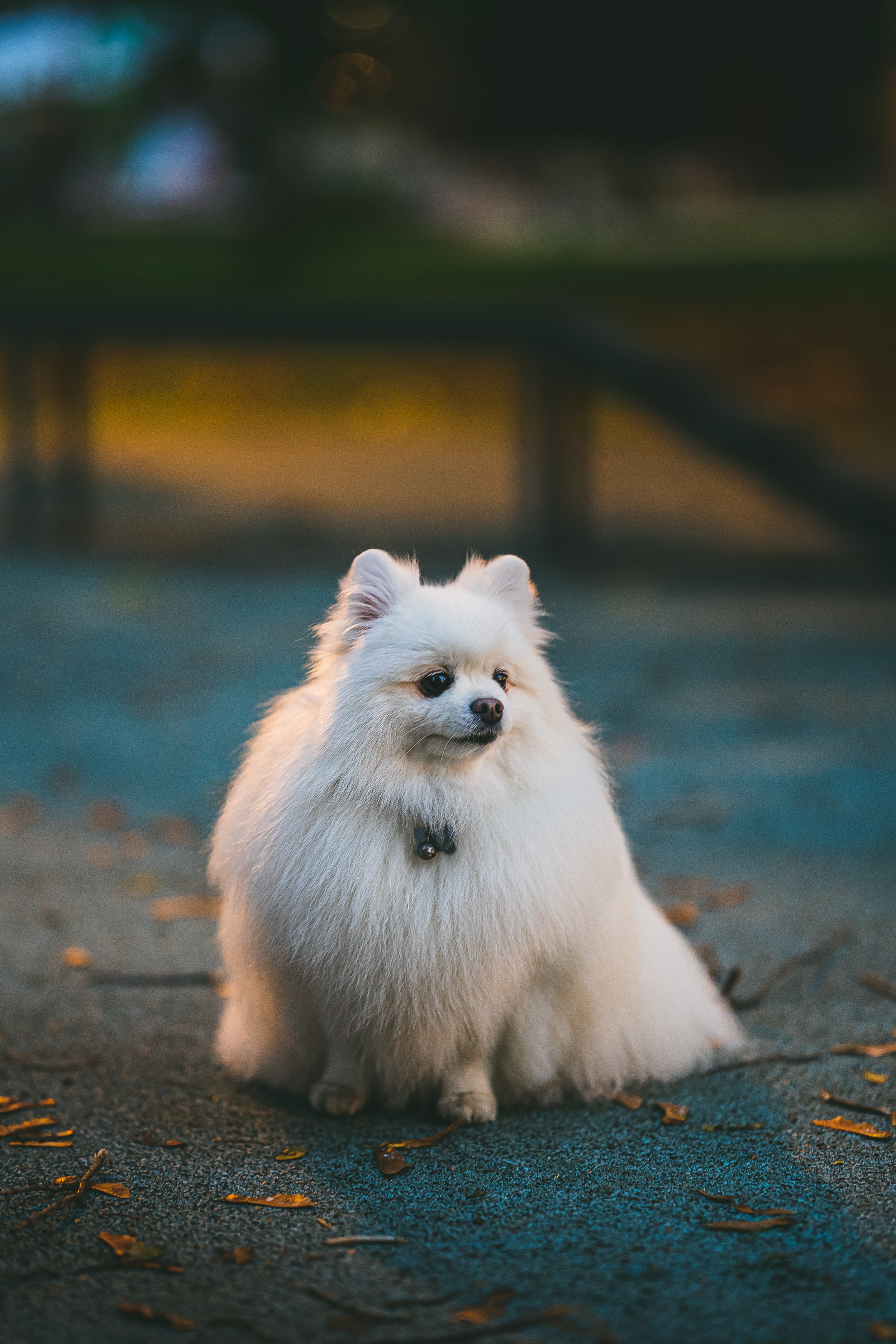 Фотопрогулка. Фотограф Никита Иванов