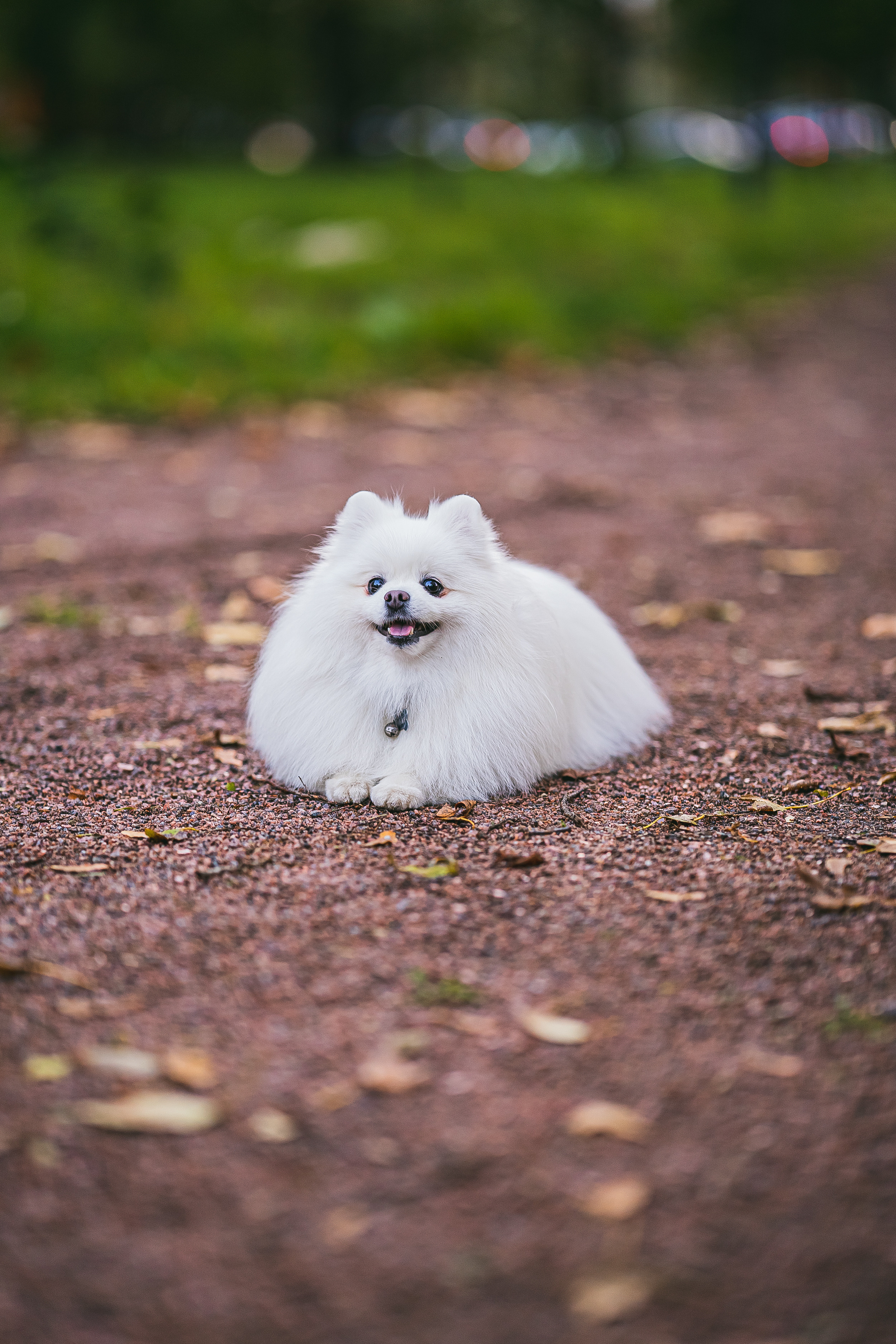 Фотопрогулка. Фотограф Никита Иванов