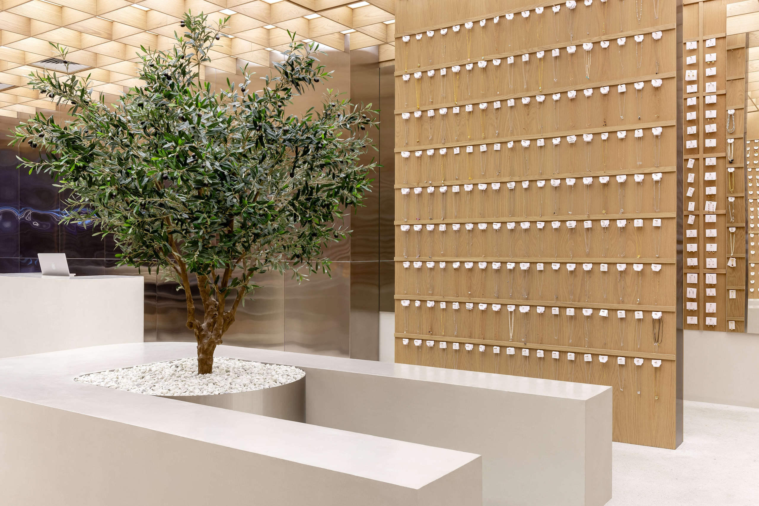 Volume Studia — IVY. Roman Yakunin — interior photographer in Almaty, Kazakhstan